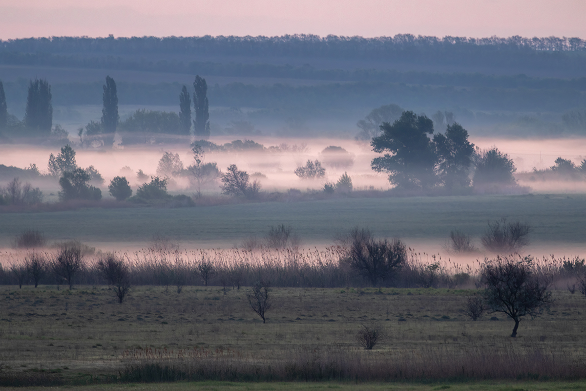 Dawn - My, Steppe, Rostov region, Landscape, dawn, Fog