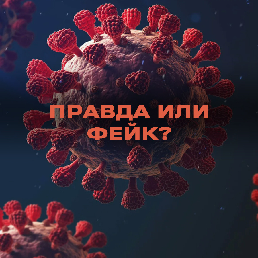 COVID-19 exists as a bacteria - true or fake? - Media and press, Fake news, news, Coronavirus, Yandex Zen (link), Longpost