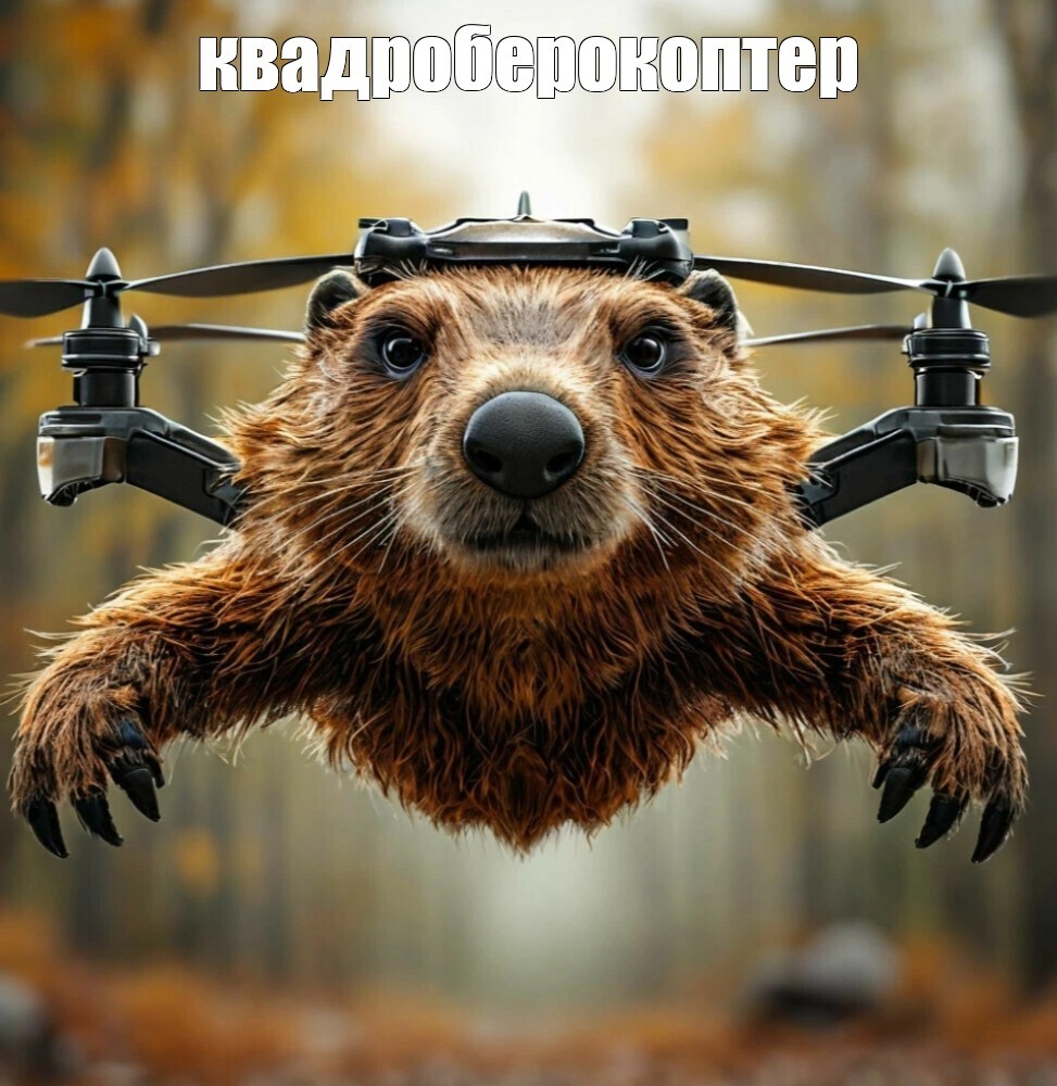 Quadcopter - Memes, Quadcopter, Quad Bearers, Beavers