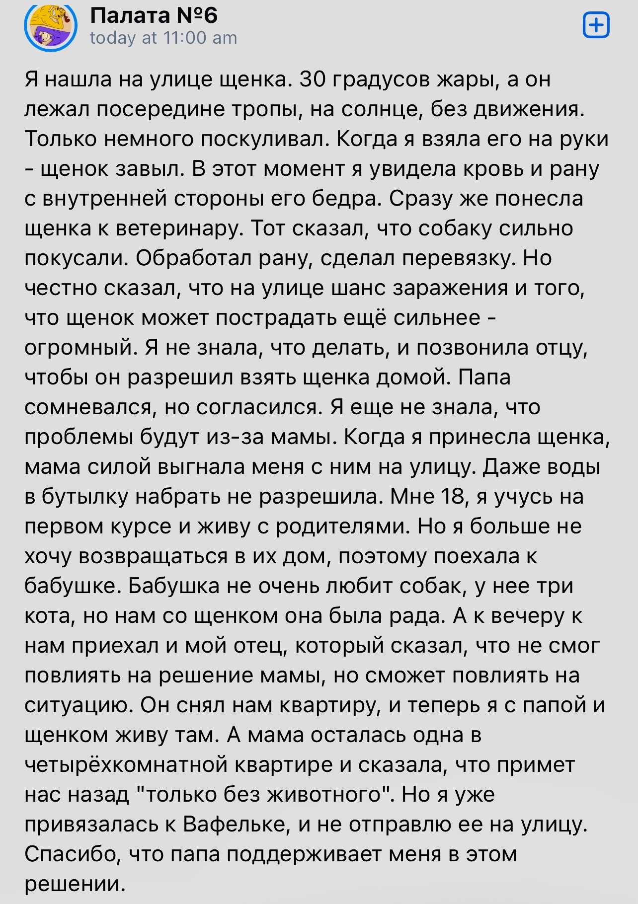 Неожиданно - Скриншот, Палата №6, Собака, Спасение животных