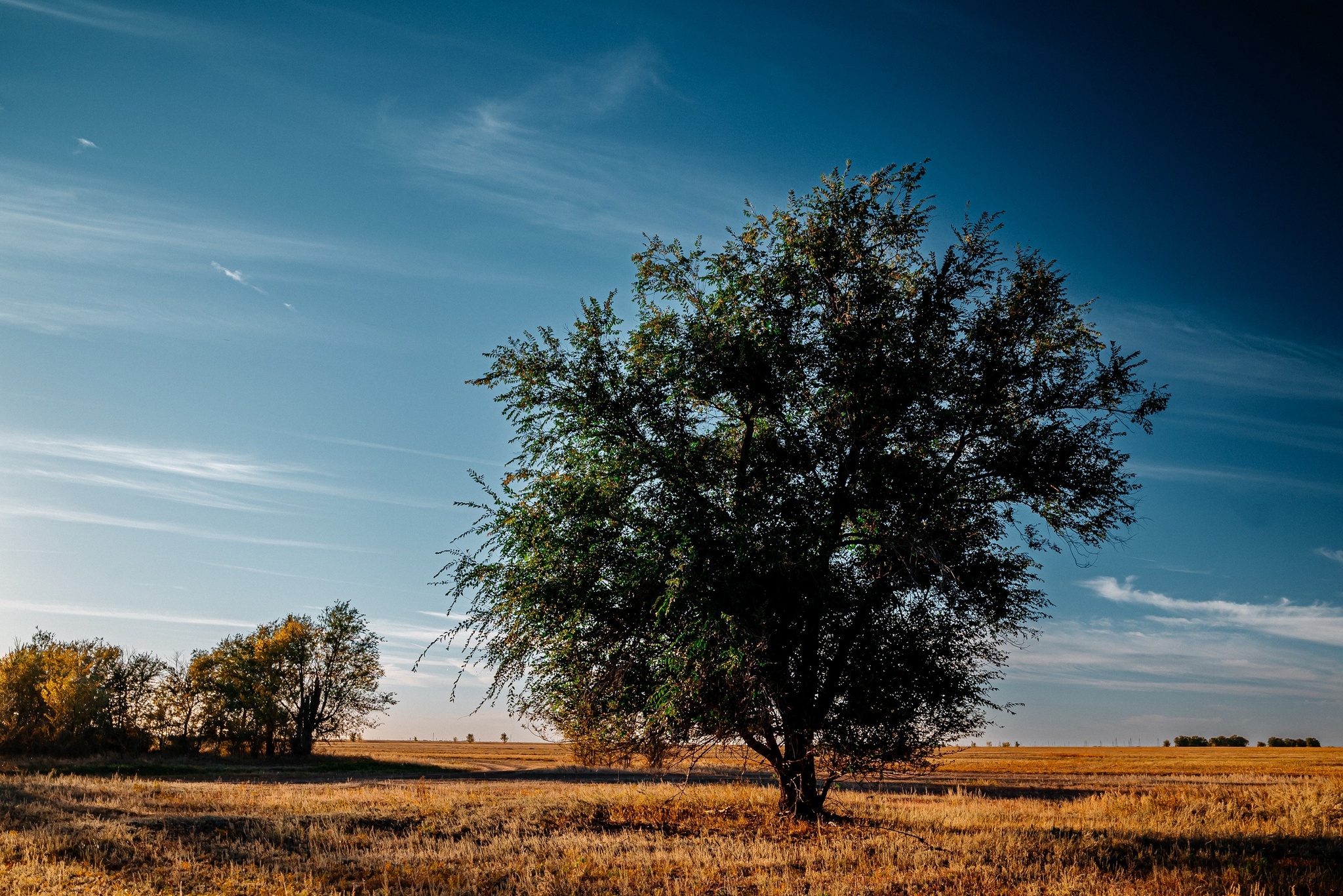 What is autumn? It's the sky... - My, The photo, Kazakhstan, Nikon, Uralsk, Landscape, Autumn, Longpost