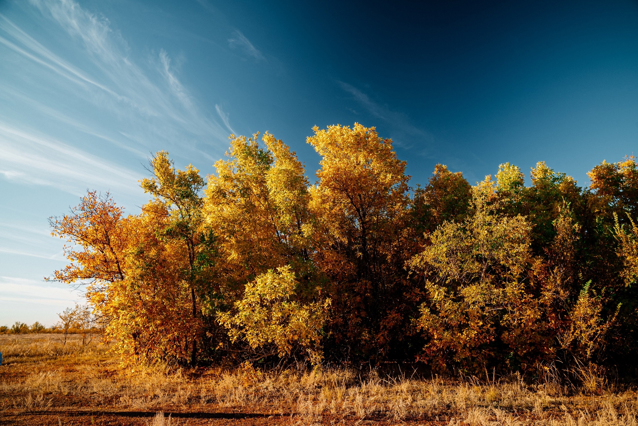 What is autumn? It's the sky... - My, The photo, Kazakhstan, Nikon, Uralsk, Landscape, Autumn, Longpost