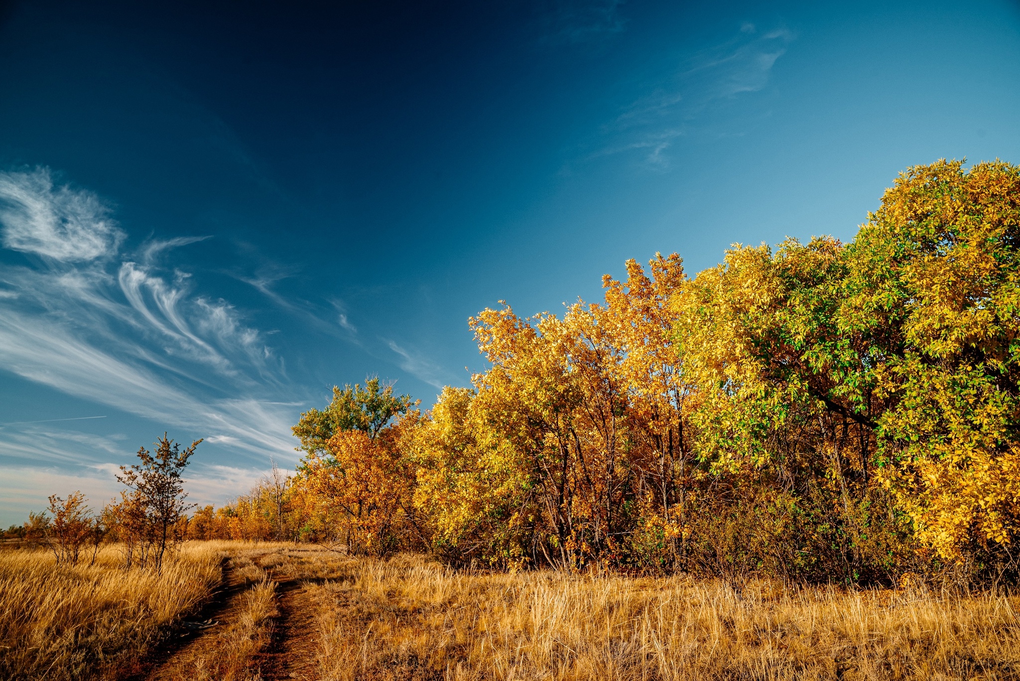 What is autumn? It's the sky... - My, The photo, Kazakhstan, Nikon, Uralsk, Landscape, Autumn, Longpost