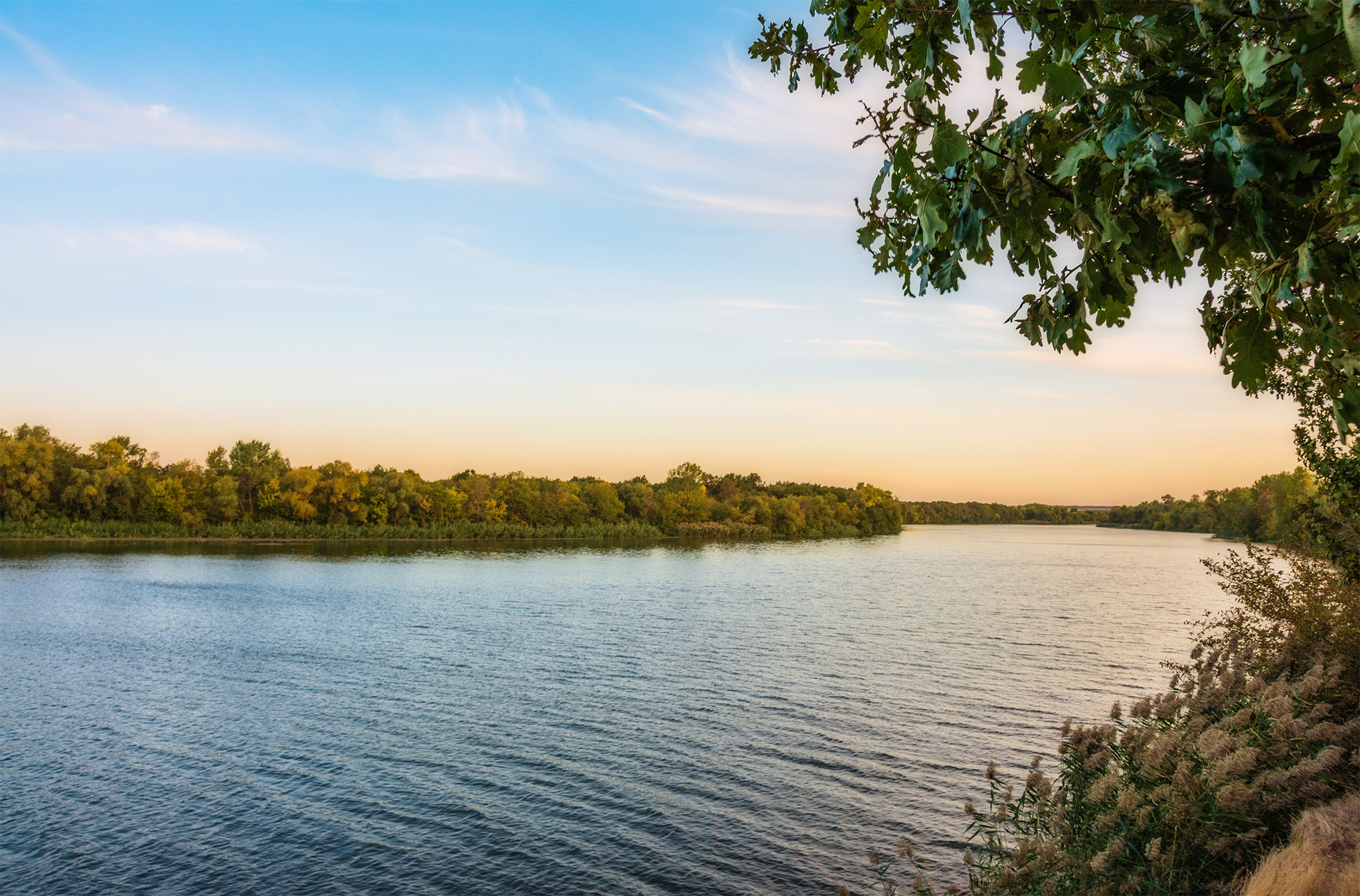 Over the autumn river - My, The photo, Nikon, Nature, Landscape, River, Seversky Donets, Autumn, Beautiful view, Oak