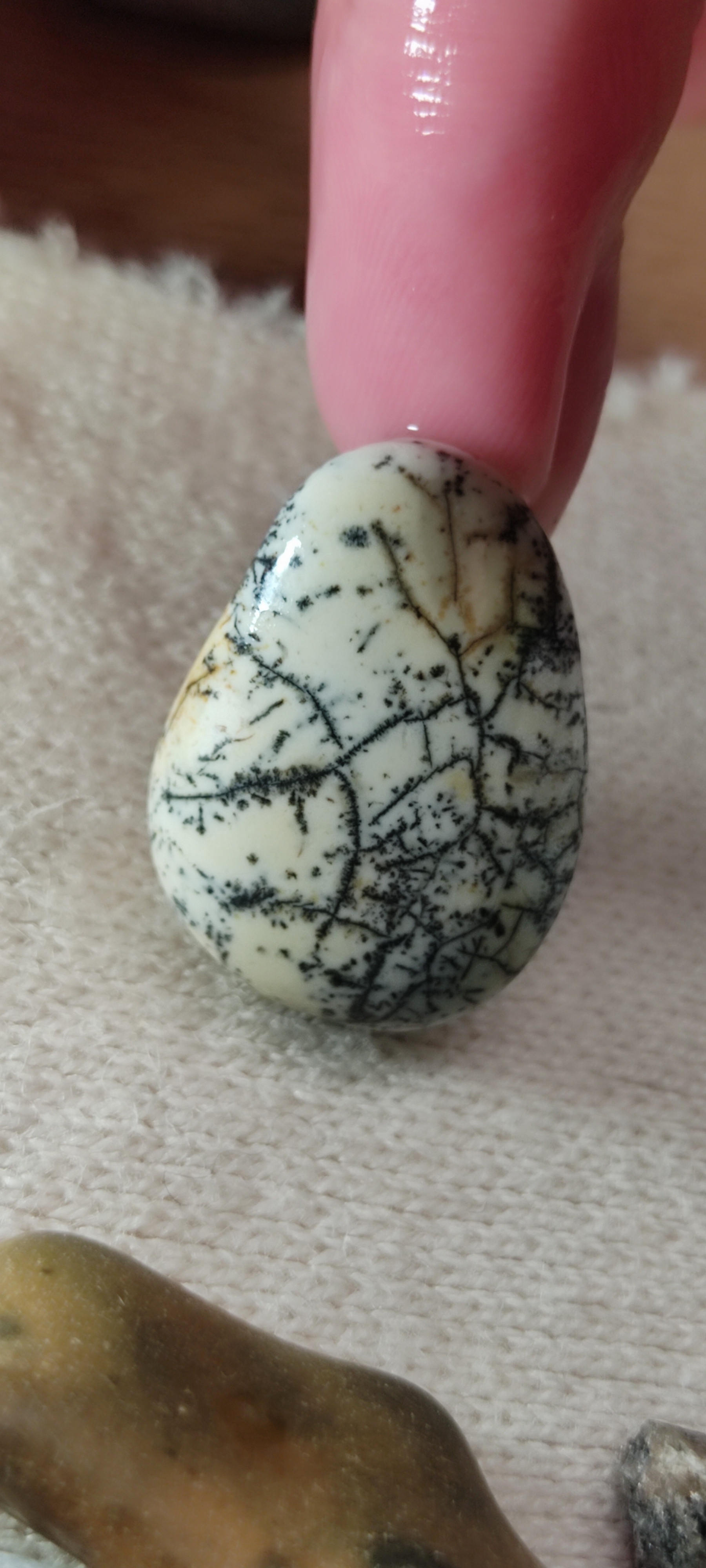 What is this stone? - A rock, Minerals, Agate, Sea, Natural stones, Question, Ask Peekaboo, Black Sea, Longpost