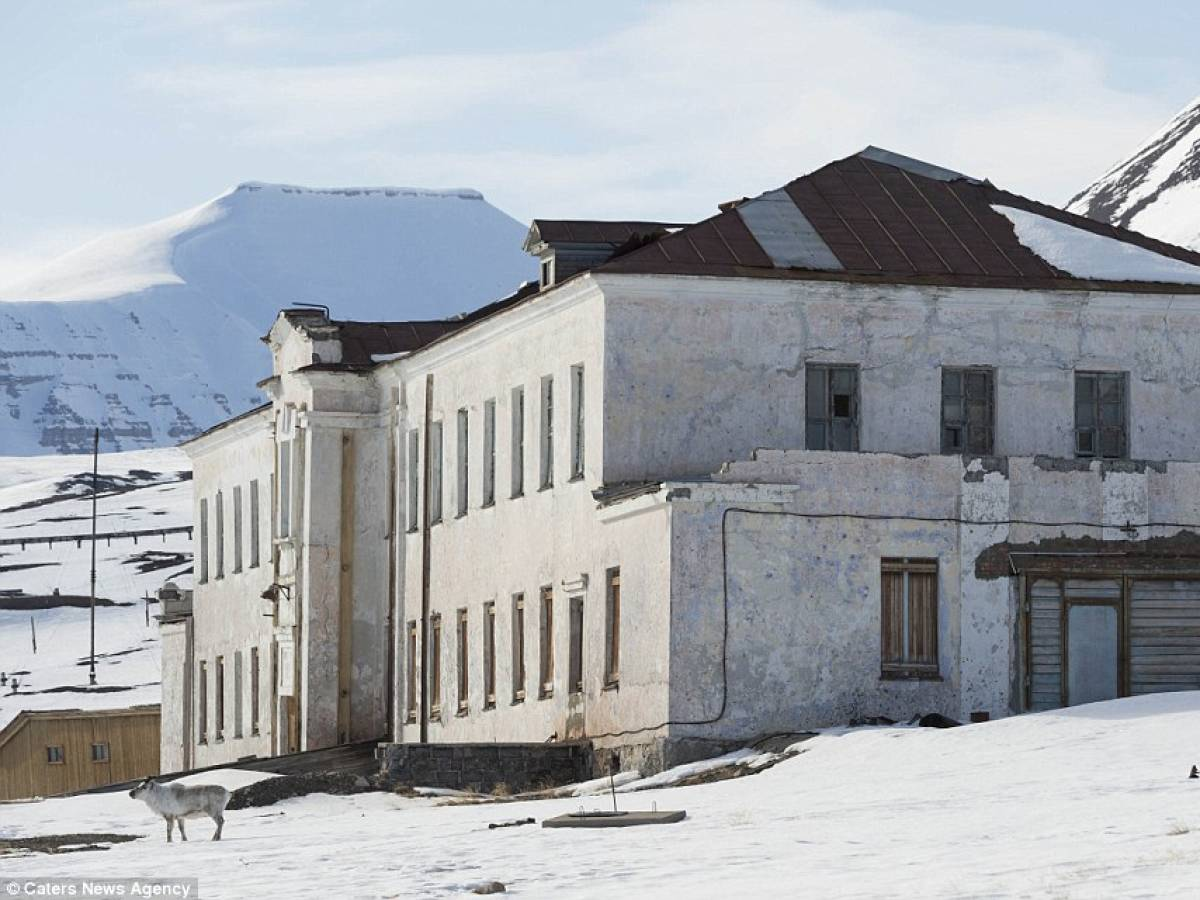 The Mystery of an Abandoned Village in the Middle of the Arctic Ocean - Village, Spitsbergen, Miners, Arctic Ocean, Abandoned, North, Bigpiccha, Longpost