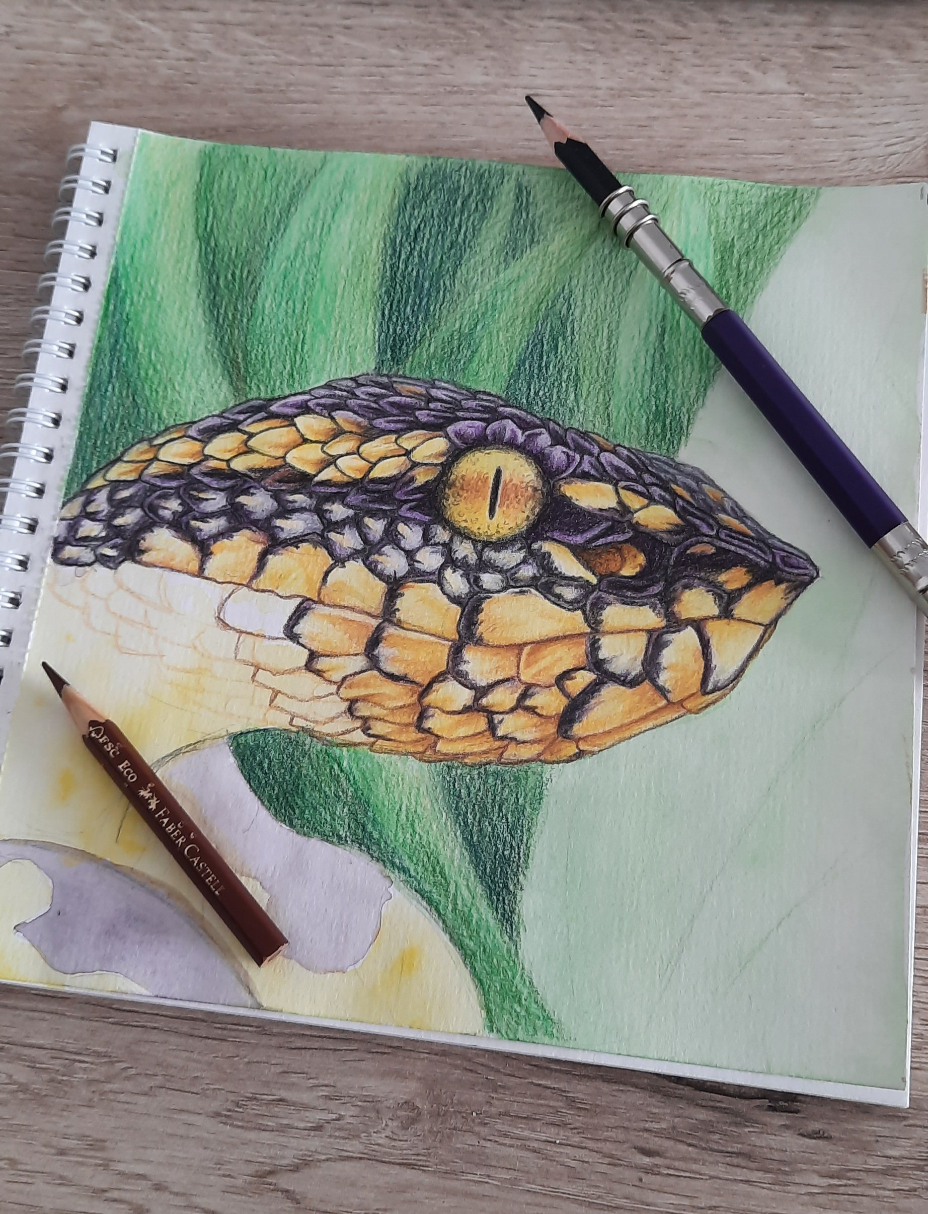 Pencils and Snakes. Part 2 - My, Creation, Art, Snake, Colour pencils, Pencil drawing, Traditional art, Longpost