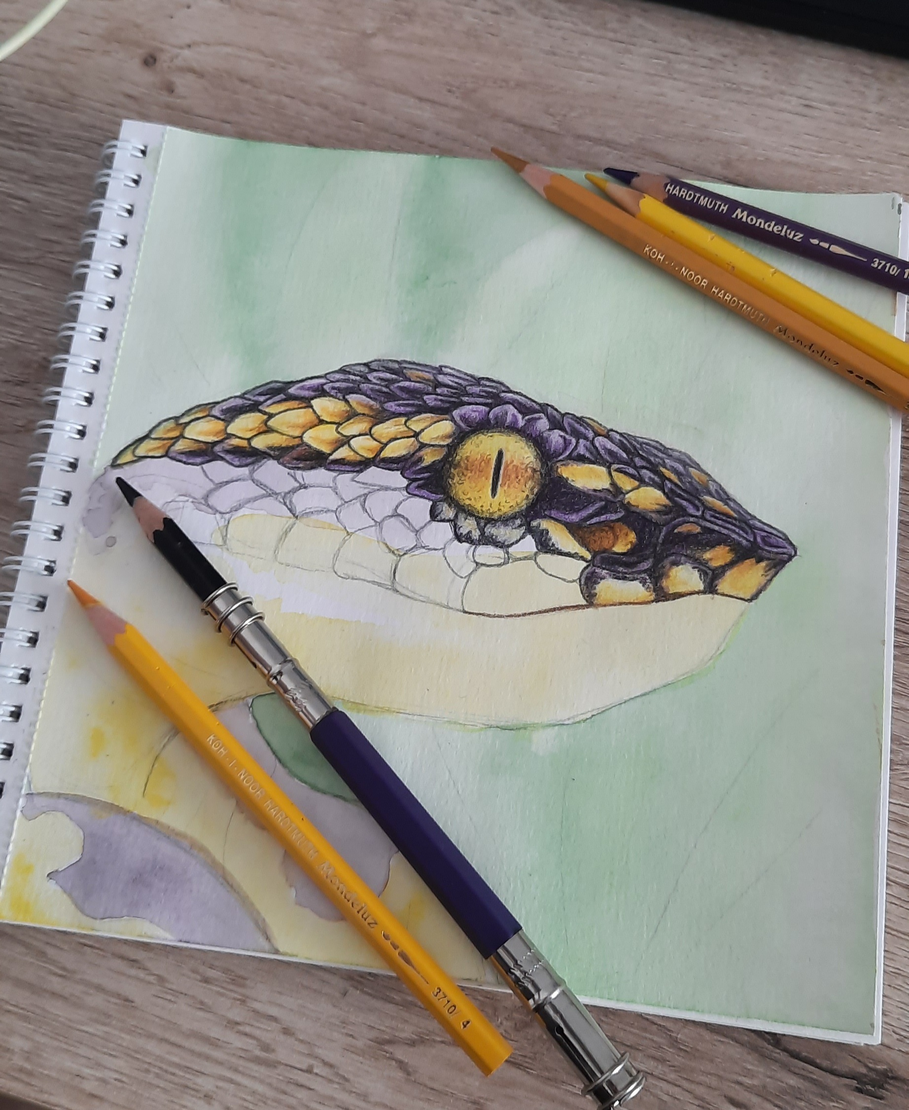 Pencils and Snakes. Part 2 - My, Creation, Art, Snake, Colour pencils, Pencil drawing, Traditional art, Longpost