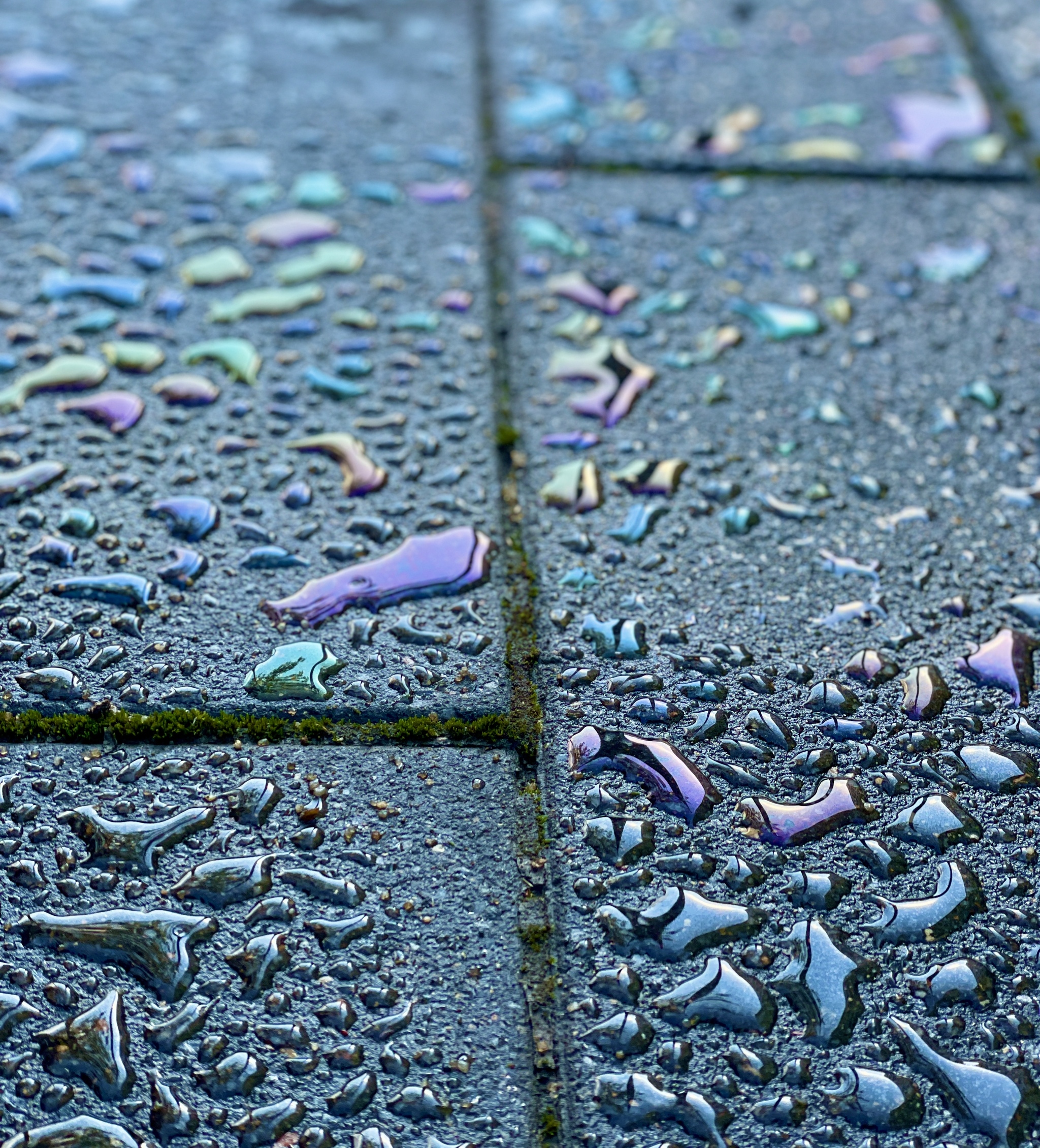 Spilled some oil - My, The photo, Beginning photographer, Town, Images, Butter, Rainbow, Beautiful view