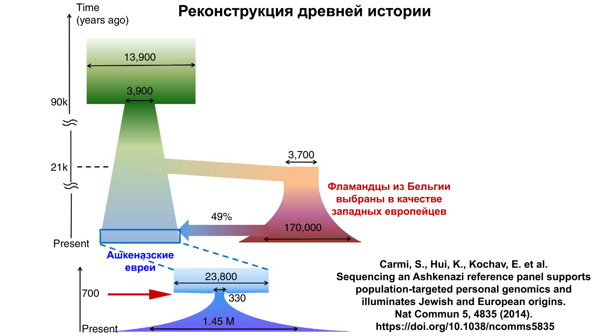 Ashkenazi Jews, genetic data. DNA of medieval Ashkenazi Jews in Germany - My, History (science), Archeology, The science, Jews, Middle Ages, History of Germany, Population genetics, Genetic diseases, Genetics, DNA, The Roman Empire, Sephardim, Erfurt, Paleogenetics, Video, Youtube, Video VK, Longpost