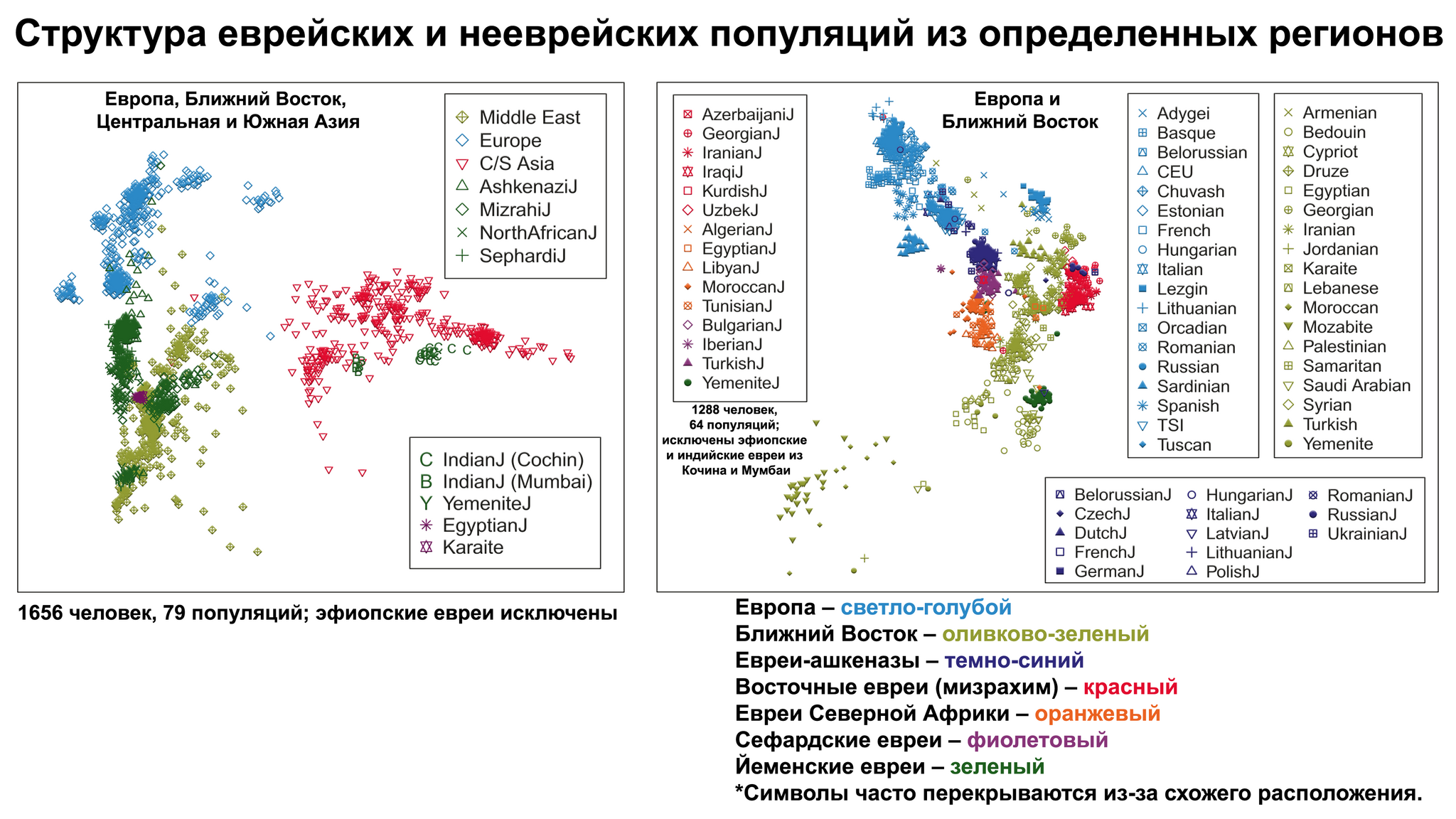 Ashkenazi Jews, genetic data. DNA of medieval Ashkenazi Jews in Germany - My, History (science), Archeology, The science, Jews, Middle Ages, History of Germany, Population genetics, Genetic diseases, Genetics, DNA, The Roman Empire, Sephardim, Erfurt, Paleogenetics, Video, Youtube, Video VK, Longpost