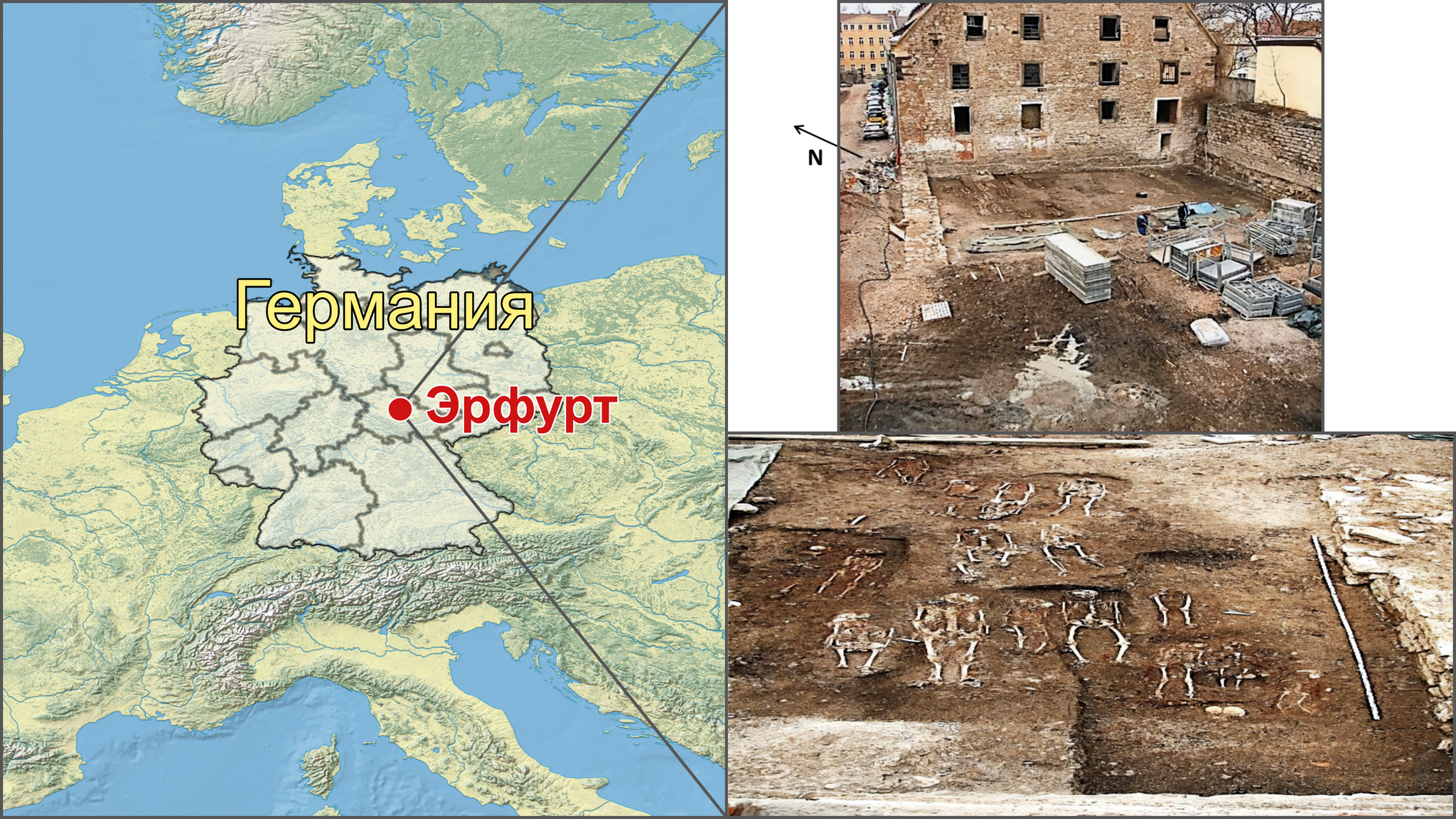 Ashkenazi Jews, genetic data. DNA of medieval Ashkenazi Jews in Germany - My, History (science), Archeology, The science, Jews, Middle Ages, History of Germany, Population genetics, Genetic diseases, Genetics, DNA, The Roman Empire, Sephardim, Erfurt, Paleogenetics, Video, Youtube, Video VK, Longpost