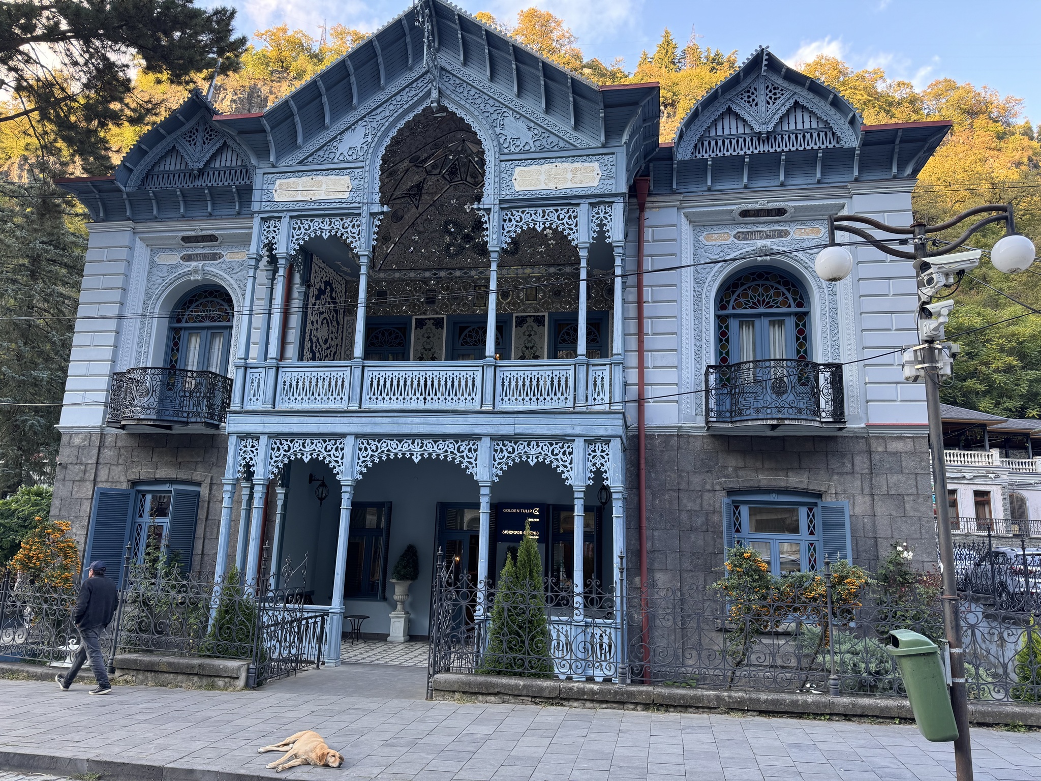 Three days in Georgia - My, Georgia, Tbilisi, Caucasus, Wine, Longpost, Dog, The photo