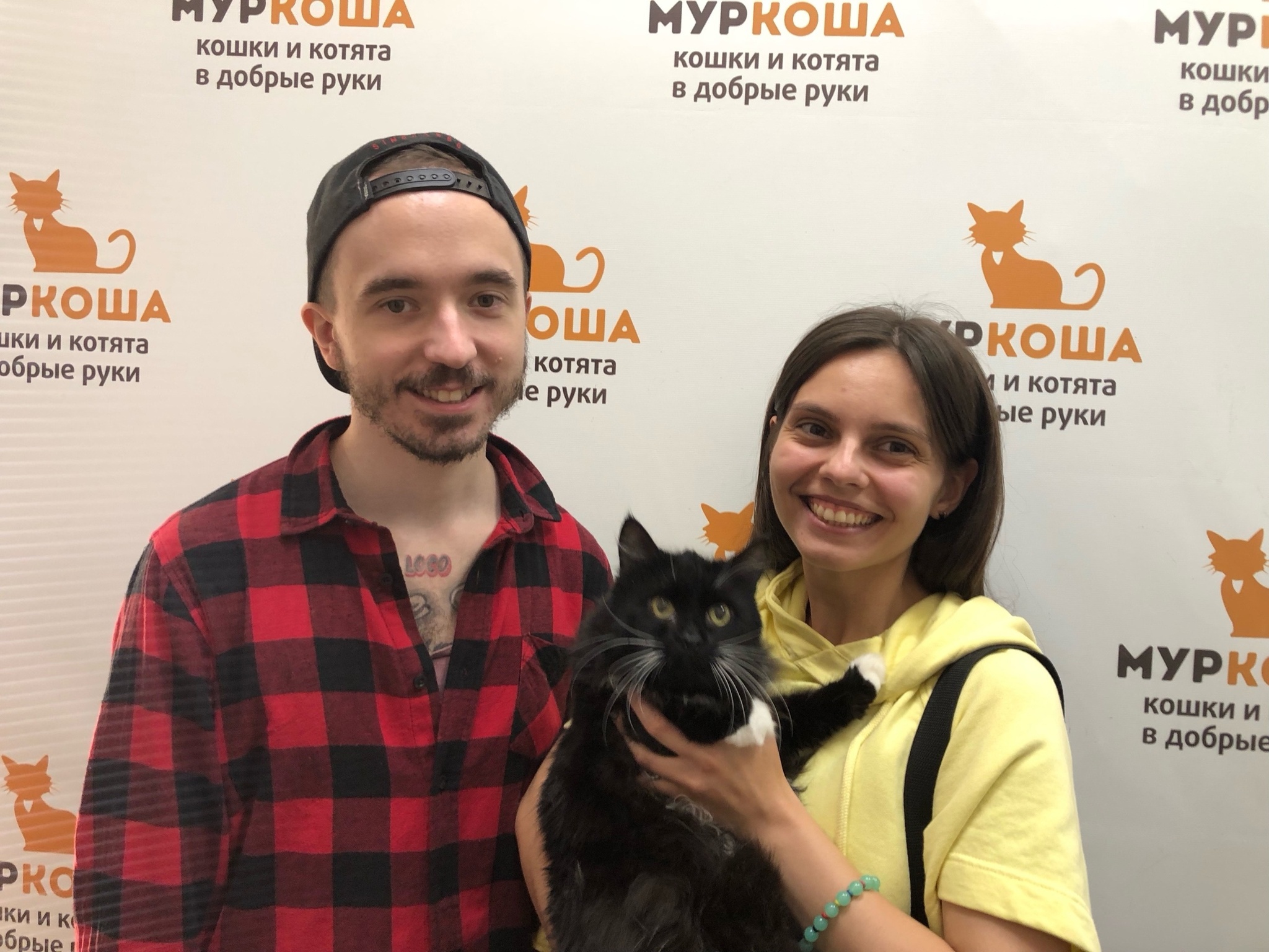 We are glad to share our successes with you. - My, Animal shelter, Murkosh shelter, No rating, Positive, cat, Touching, Found a home, Video VK, Vertical video, Video, Longpost