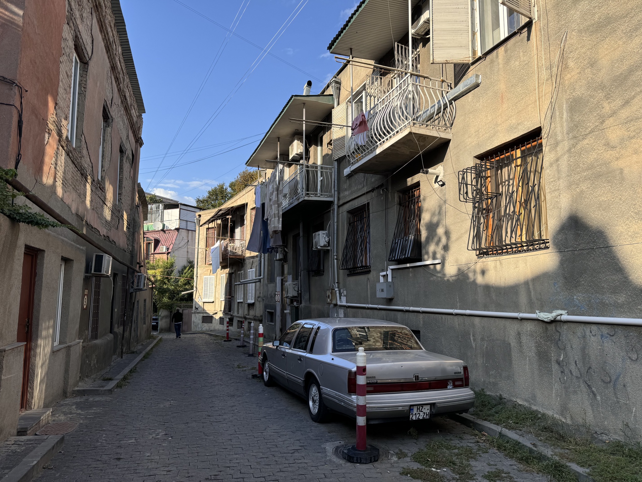 Three days in Georgia - My, Georgia, Tbilisi, Caucasus, Wine, Longpost, Dog, The photo