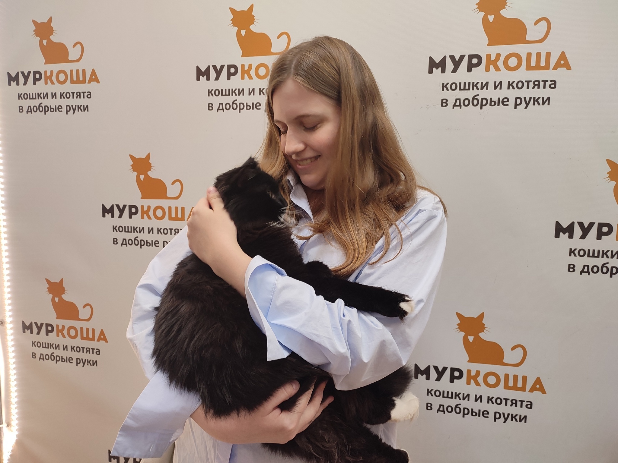 We are glad to share our successes with you. - My, Animal shelter, Murkosh shelter, No rating, Positive, cat, Touching, Found a home, Video VK, Vertical video, Video, Longpost