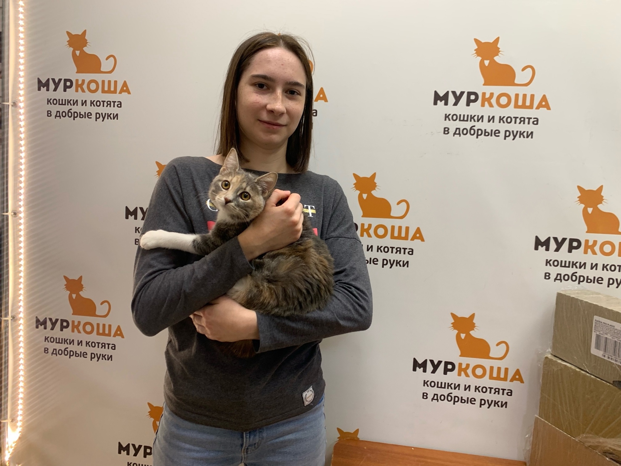 We are glad to share our successes with you. - My, Animal shelter, Murkosh shelter, No rating, Positive, cat, Touching, Found a home, Video VK, Vertical video, Video, Longpost