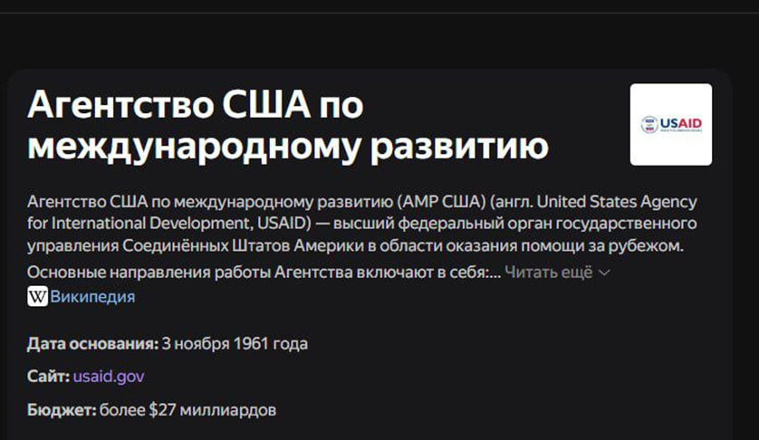 Как Америка помогала в написании конституции России? - Моё, Политика, История России, Конституция, Развал СССР, Длиннопост