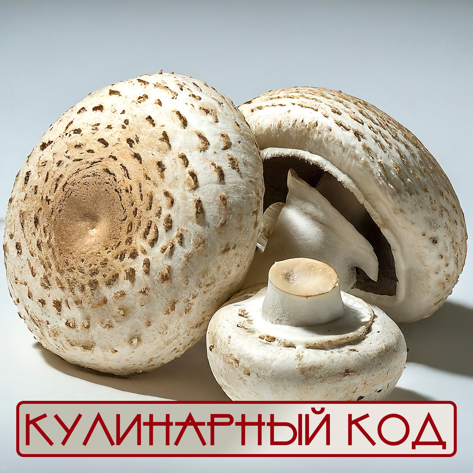 Culinary code. Mushrooms: Champignons - My, Cooking, Food, Nutrition, Products, Mushrooms, Champignon, Facts, Knowledge, Longpost