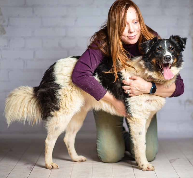 Tyson is handsome and kind, but homeless - Dog, Dog lovers, Homeless animals, Shelter, Overexposure, Training, Friend, In good hands, Moscow, Moscow region, Volunteering, Good league, Kindness, Longpost