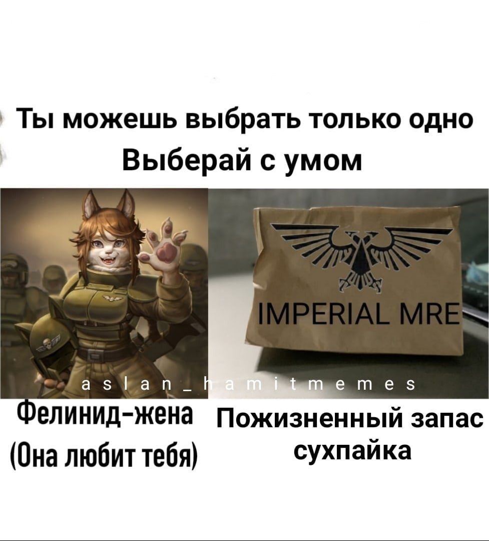 Category B - Wh humor, Warhammer 40k, Memes, Longpost