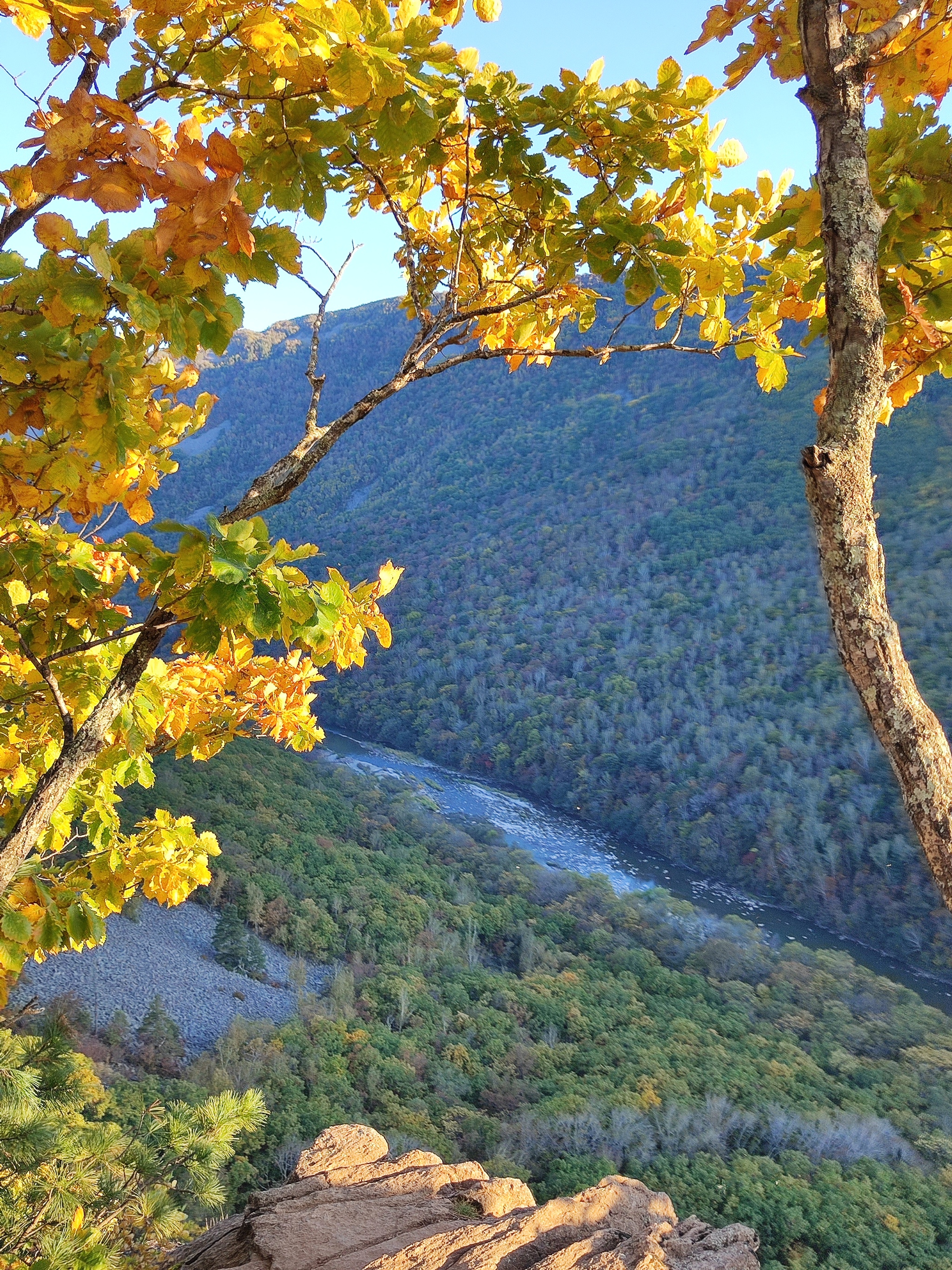 View from the cliff Princess Castle. Dardanelles Gorge. Primorsky Krai. 09.28.2024 - My, Gorge, Tourism, Primorsky Krai, The mountains, Autumn, River, The photo, Mobile photography, Longpost, Forest, No filters