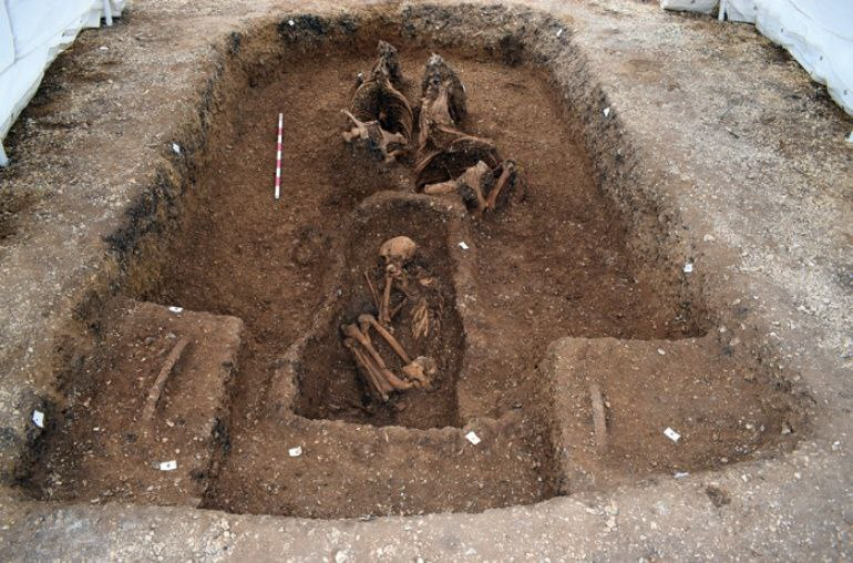 Man buried in horse-drawn chariot 2,000 years ago - My, Archeology, Nauchpop, Scientists, Ancient artifacts, The science, Video, Youtube, Longpost