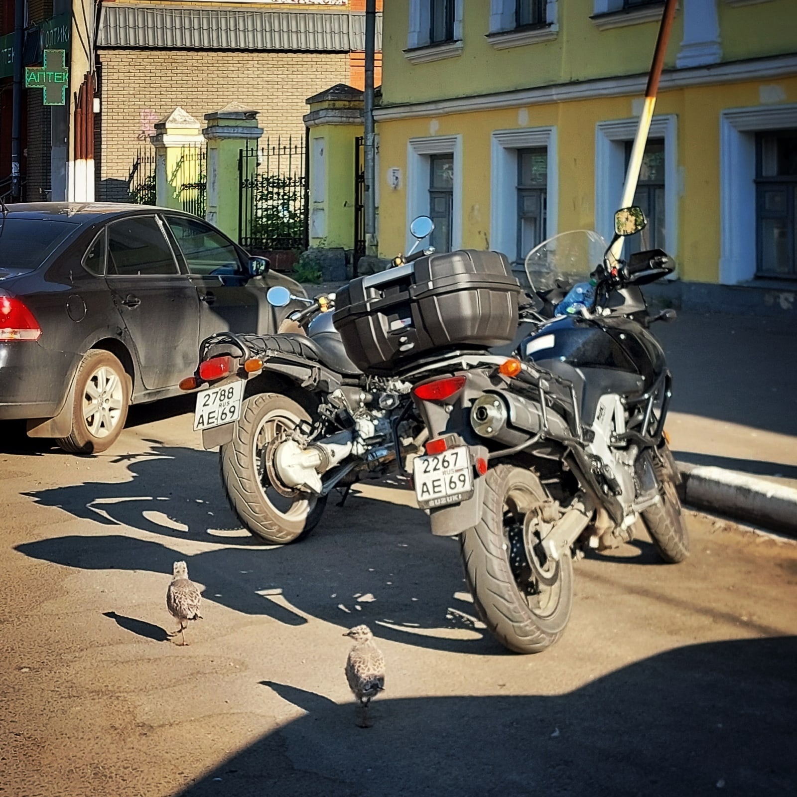 Two novice bikers - My, Motorcyclists, Moto, Chick, Seagulls, Town, The photo, Reportage