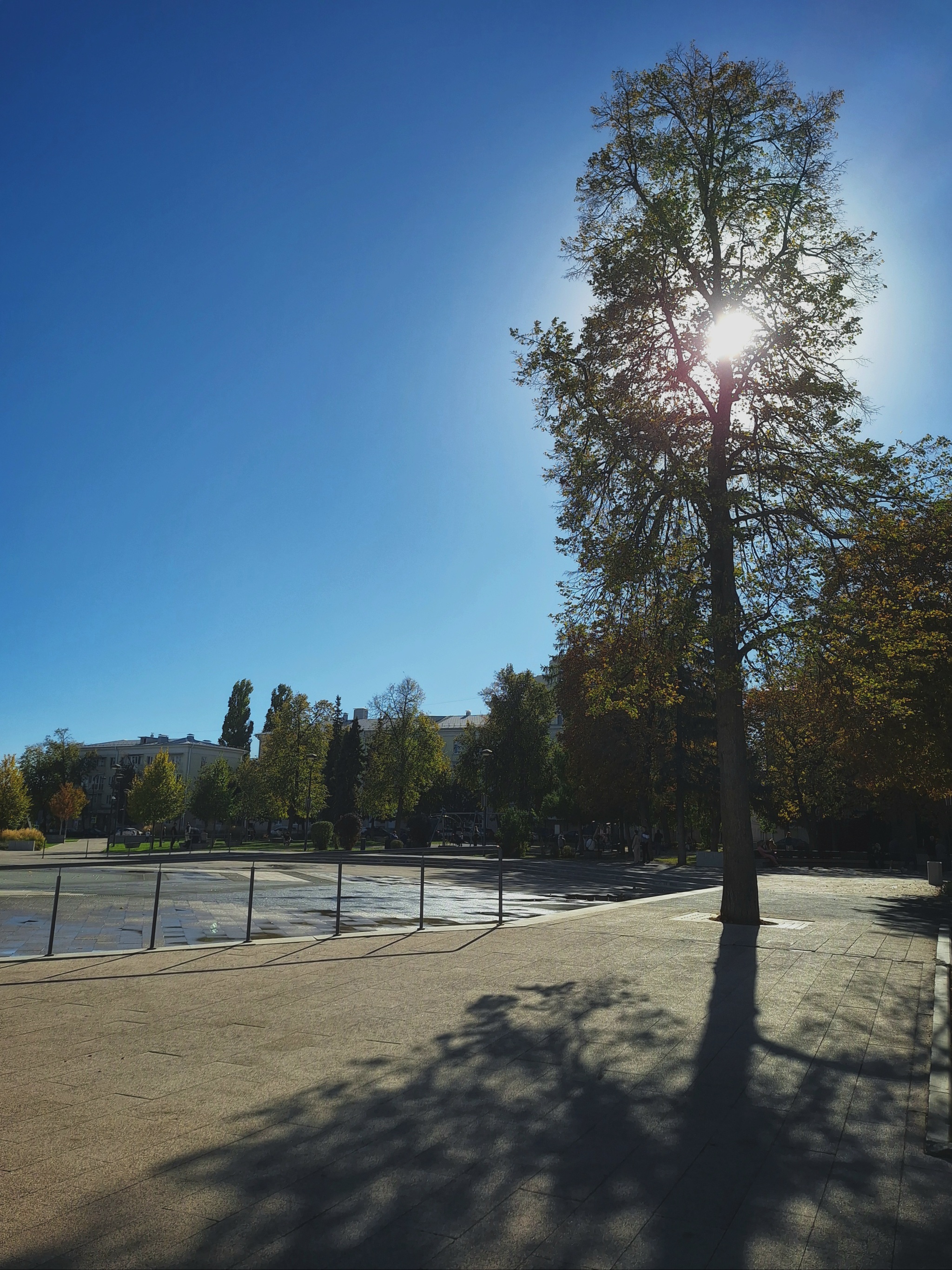 Warm Voronezh - My, Voronezh, September, Heat, The photo, Mobile photography, Courtyard, City center, Tower, Square, The park, Indian summer, Longpost