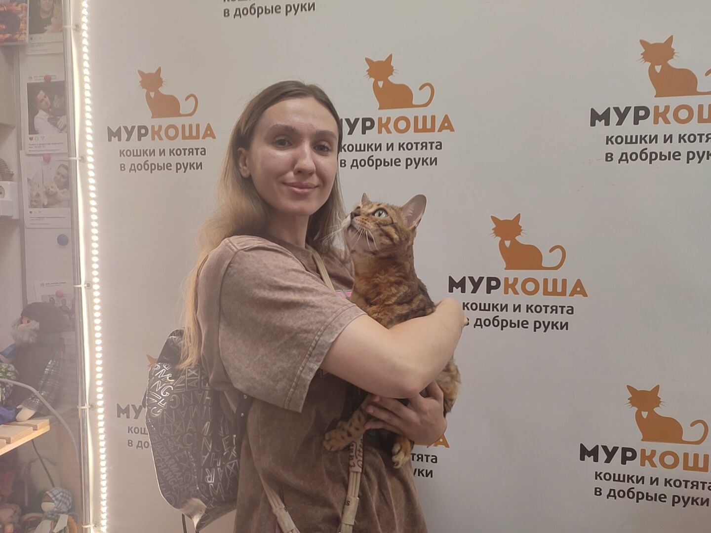 We are glad to share our successes with you. - My, Animal shelter, Murkosh shelter, No rating, Positive, cat, Touching, Found a home, Video VK, Vertical video, Video, Longpost