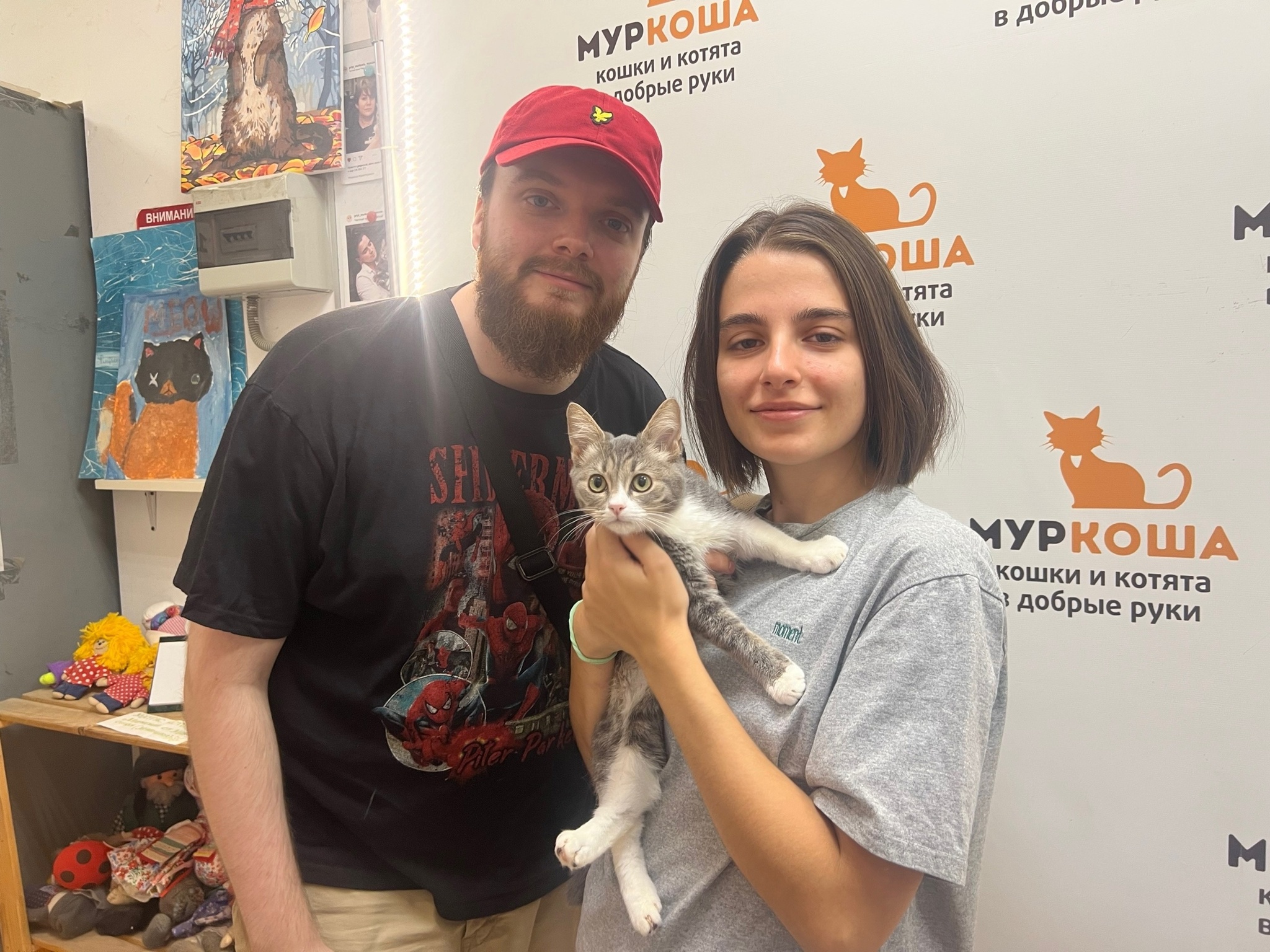 We are glad to share our successes with you. - My, Animal shelter, Murkosh shelter, No rating, Positive, cat, Touching, Found a home, Video VK, Vertical video, Video, Longpost