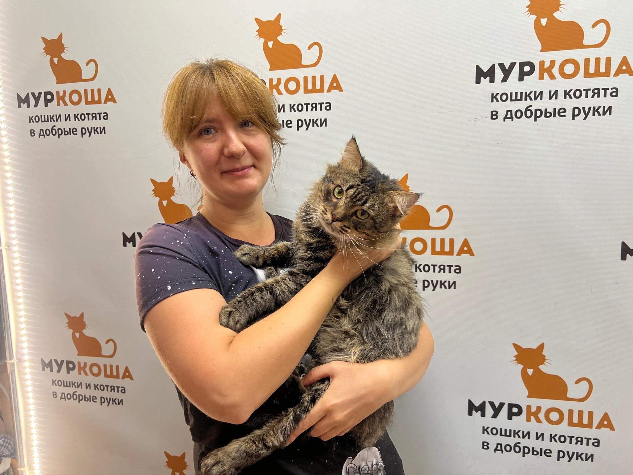 We are glad to share our successes with you. - My, Animal shelter, Murkosh shelter, No rating, Positive, cat, Touching, Found a home, Video VK, Vertical video, Video, Longpost