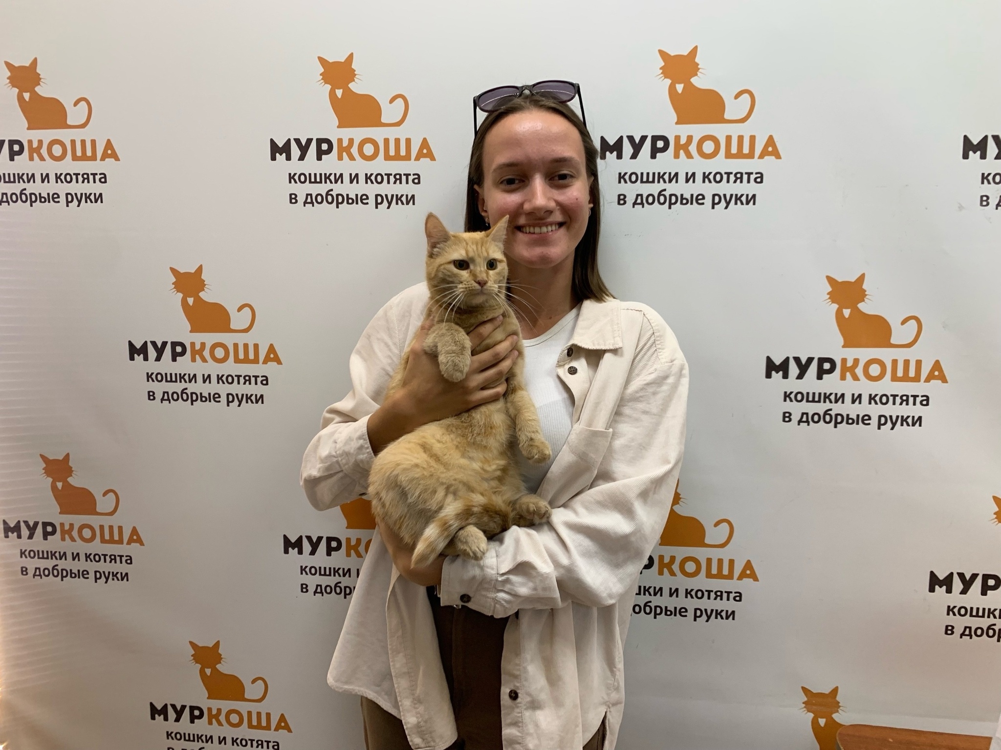 We are glad to share our successes with you. - My, Animal shelter, Murkosh shelter, No rating, Positive, cat, Touching, Found a home, Video VK, Vertical video, Video, Longpost