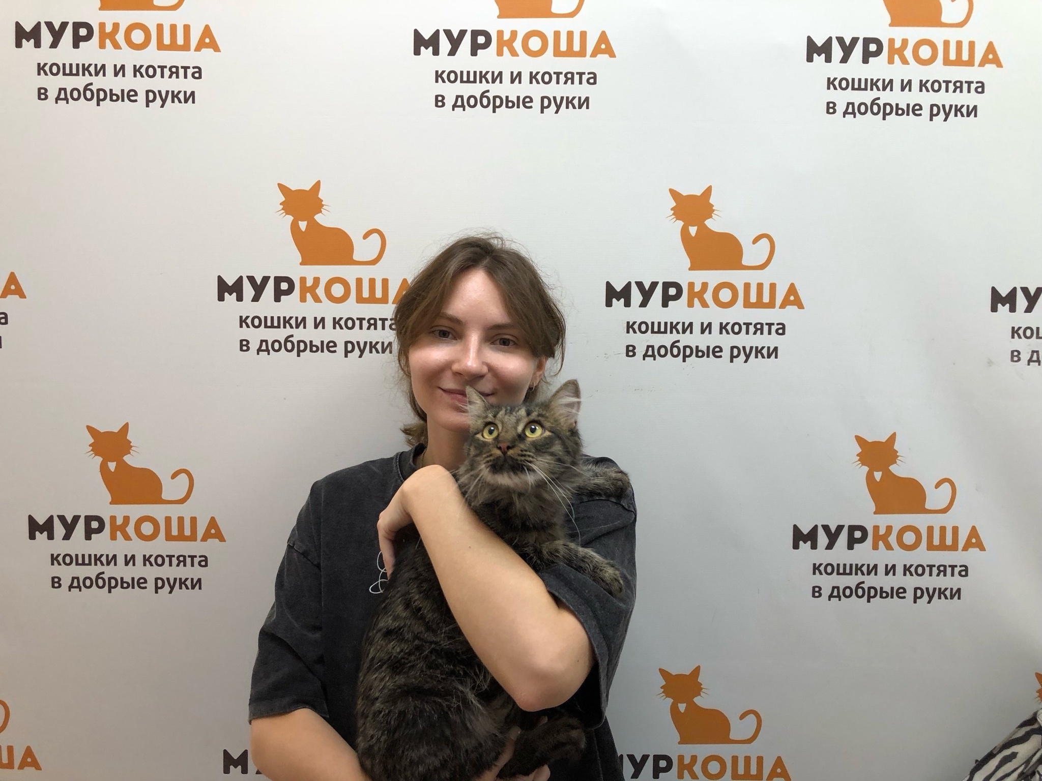 We are glad to share our successes with you. - My, Animal shelter, Murkosh shelter, No rating, Positive, cat, Touching, Found a home, Video VK, Vertical video, Video, Longpost