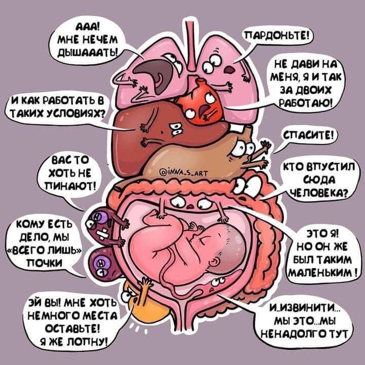 Внутренние органы беременных) - Беременность, Органы, Юмор, Повтор, Картинка с текстом