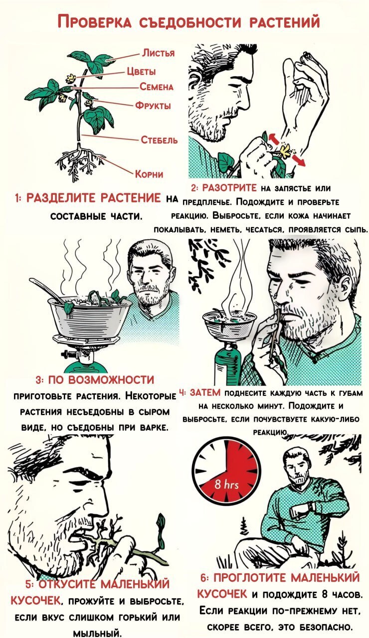 Ответ простого пикабушника на странную серию постов в лиге путешественников - Выживание, Природа, Поход, Путешествия, Статья, Лес, Туризм, Отдых на природе, Полезное, Совет, Обучение, Здоровье, Экстрим, Правила, Юмор, Ответ на пост, Собака, Гифка, Длиннопост