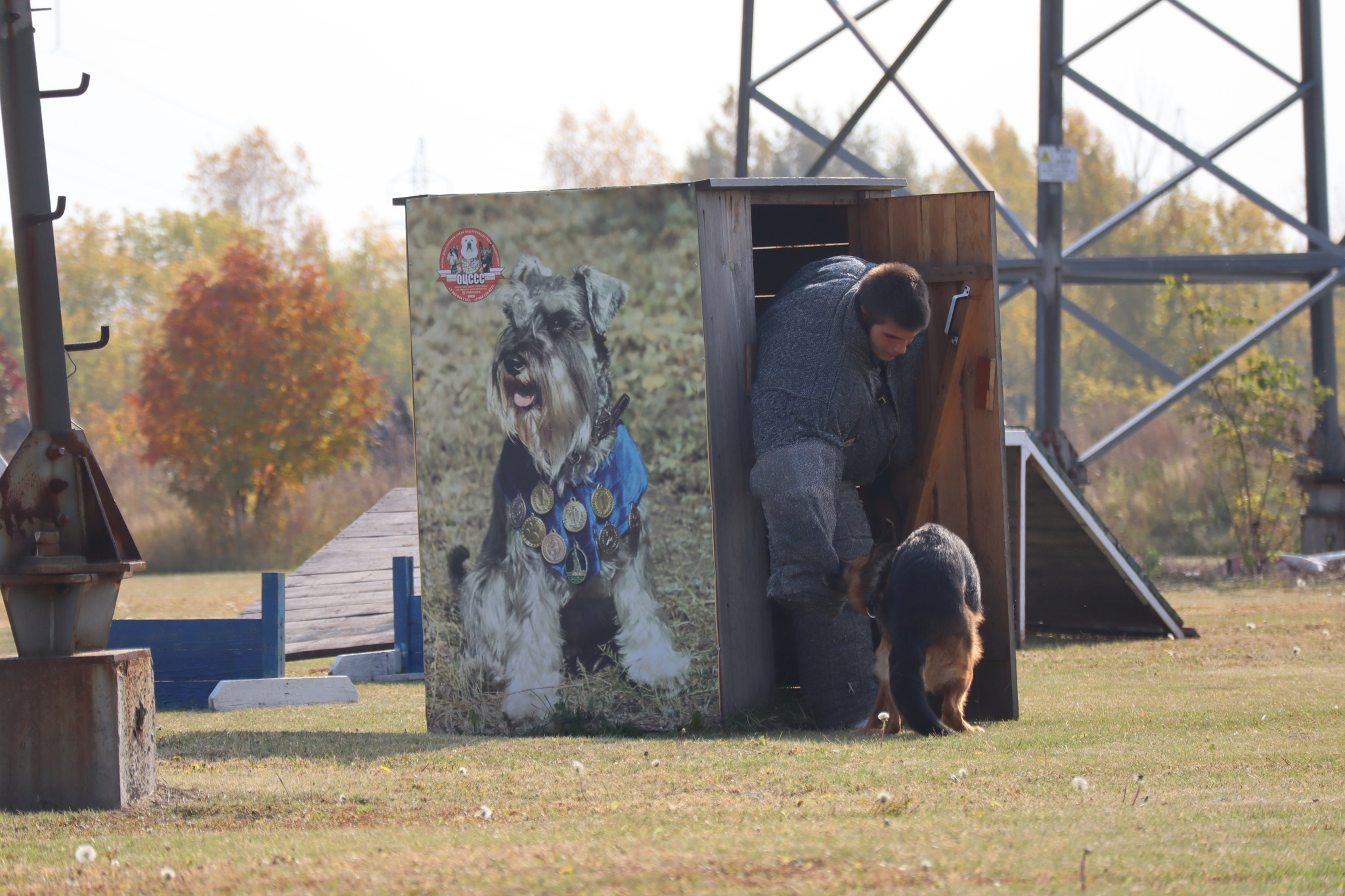 Dog training in Omsk - OCSSSS 28 - 09 - 2024 - Dog, Dog lovers, Puppies, Omsk, Training, Г“Г±Г±Г±, Care, Friend, Longpost