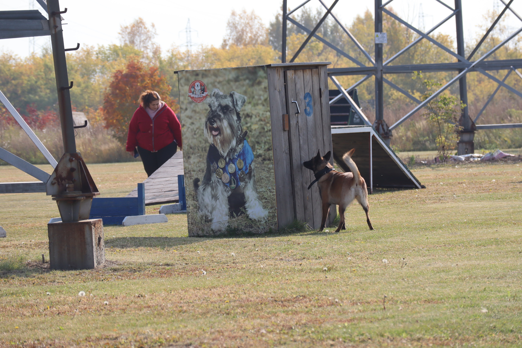 Dog training in Omsk - OCSSSS 28 - 09 - 2024 - Dog, Dog lovers, Puppies, Omsk, Training, Г“Г±Г±Г±, Care, Friend, Longpost