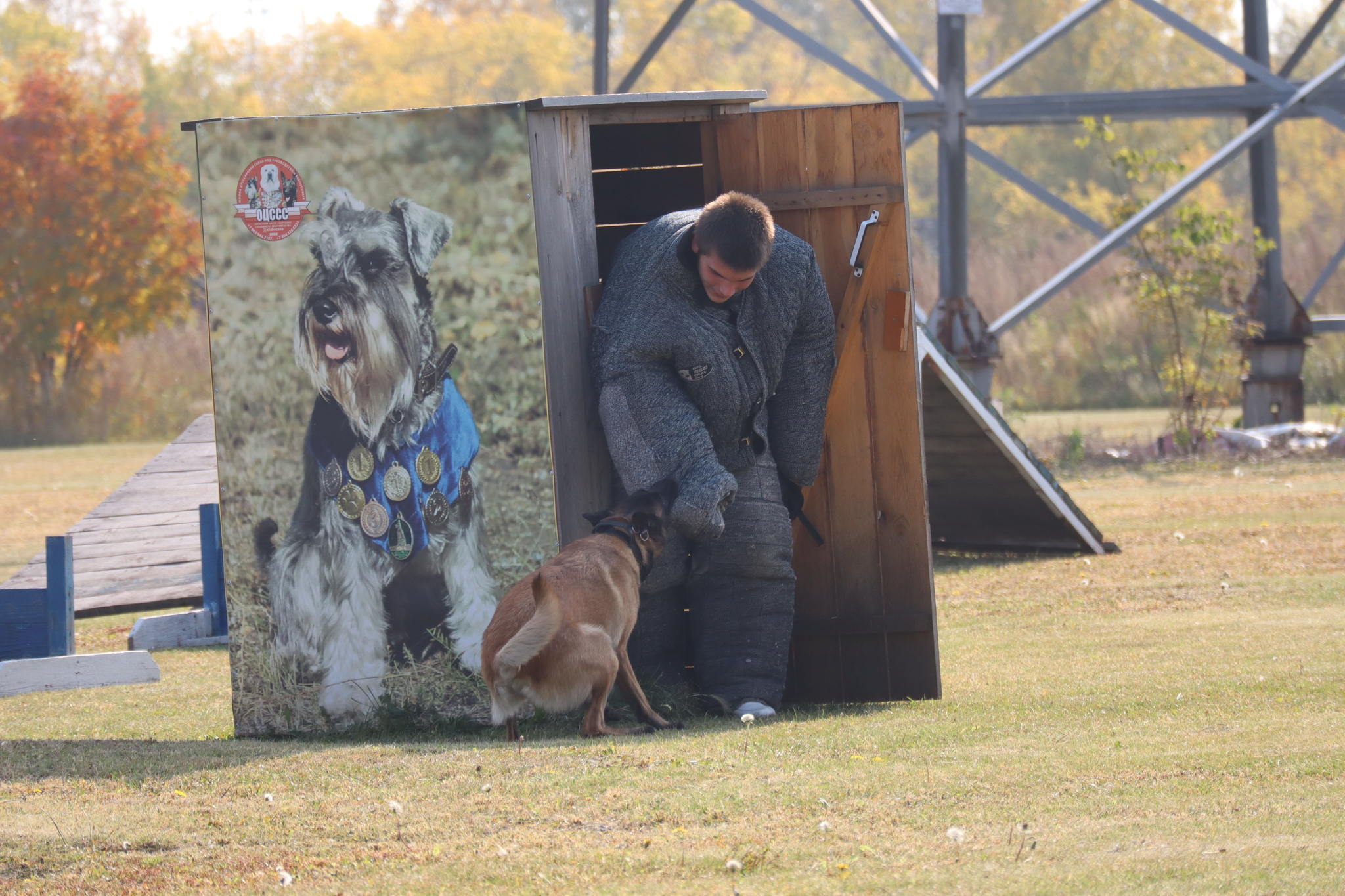 Dog training in Omsk - OCSSSS 28 - 09 - 2024 - Dog, Dog lovers, Puppies, Omsk, Training, Г“Г±Г±Г±, Care, Friend, Longpost