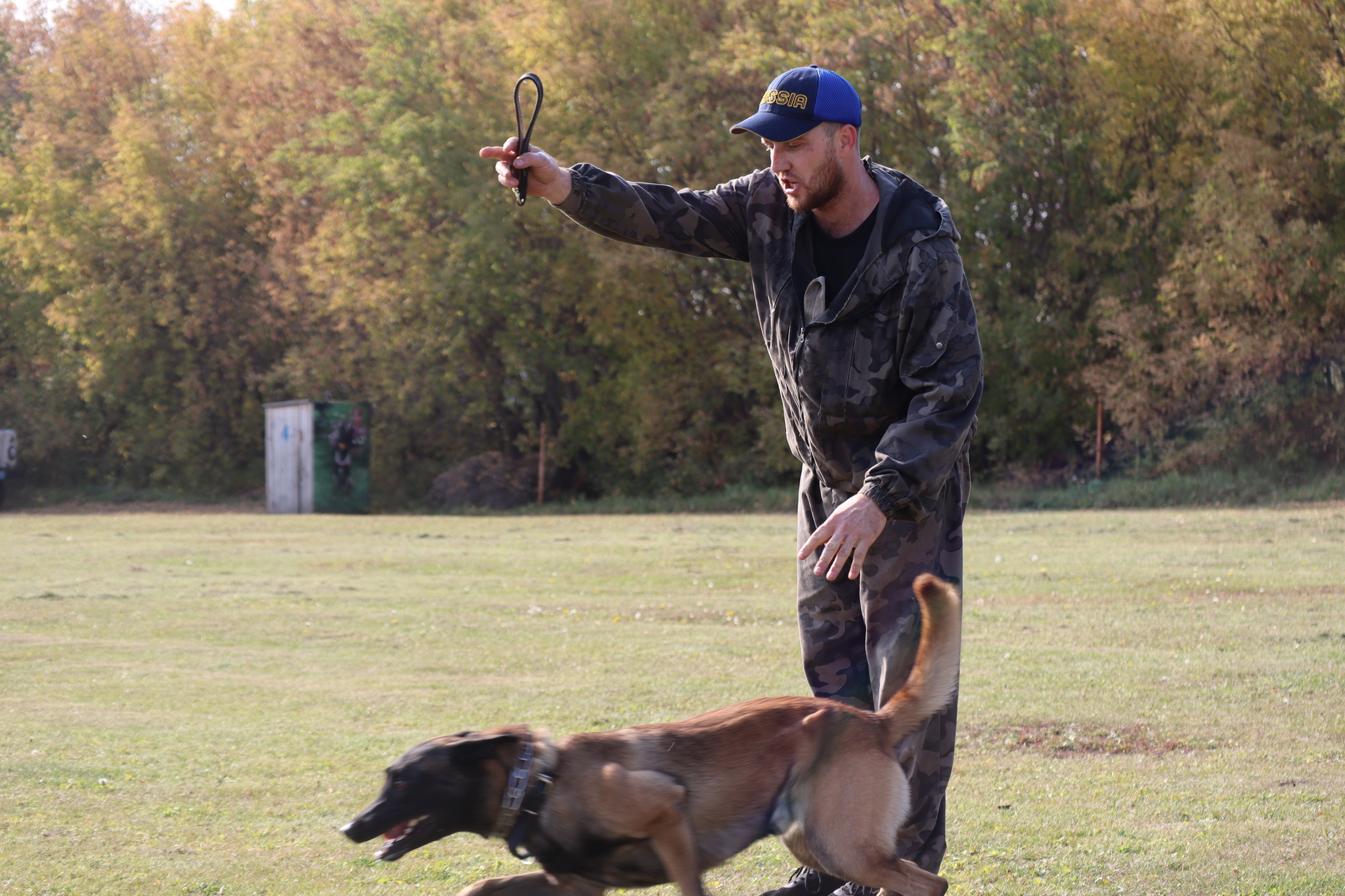 Dog training in Omsk - OCSSSS 28 - 09 - 2024 - Dog, Dog lovers, Puppies, Omsk, Training, Г“Г±Г±Г±, Care, Friend, Longpost