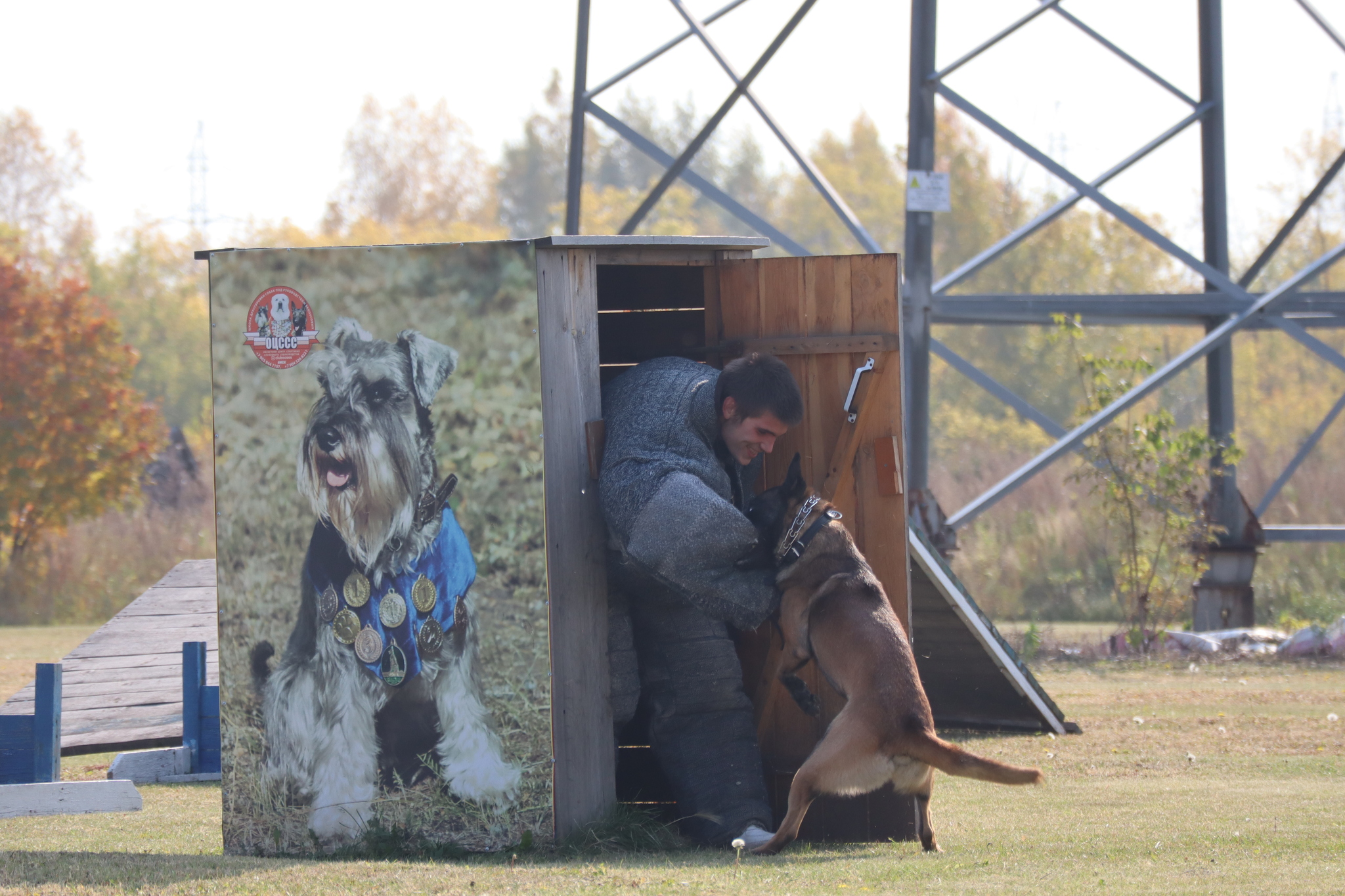 Dog training in Omsk - OCSSSS 28 - 09 - 2024 - Dog, Dog lovers, Puppies, Omsk, Training, Г“Г±Г±Г±, Care, Friend, Longpost