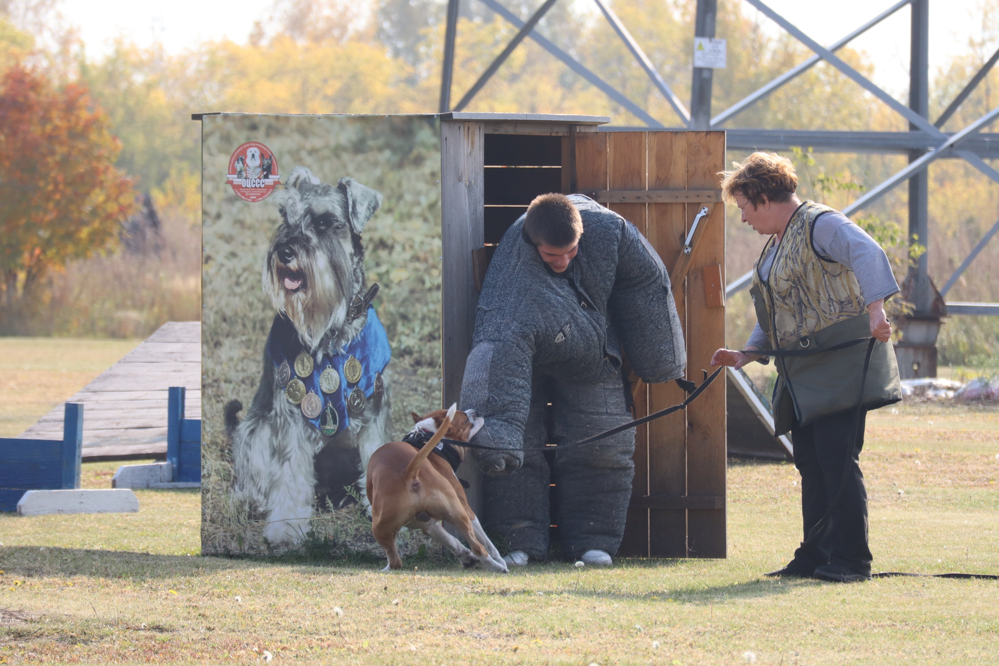 Dog training in Omsk - OCSSSS 28 - 09 - 2024 - Dog, Dog lovers, Puppies, Omsk, Training, Г“Г±Г±Г±, Care, Friend, Longpost