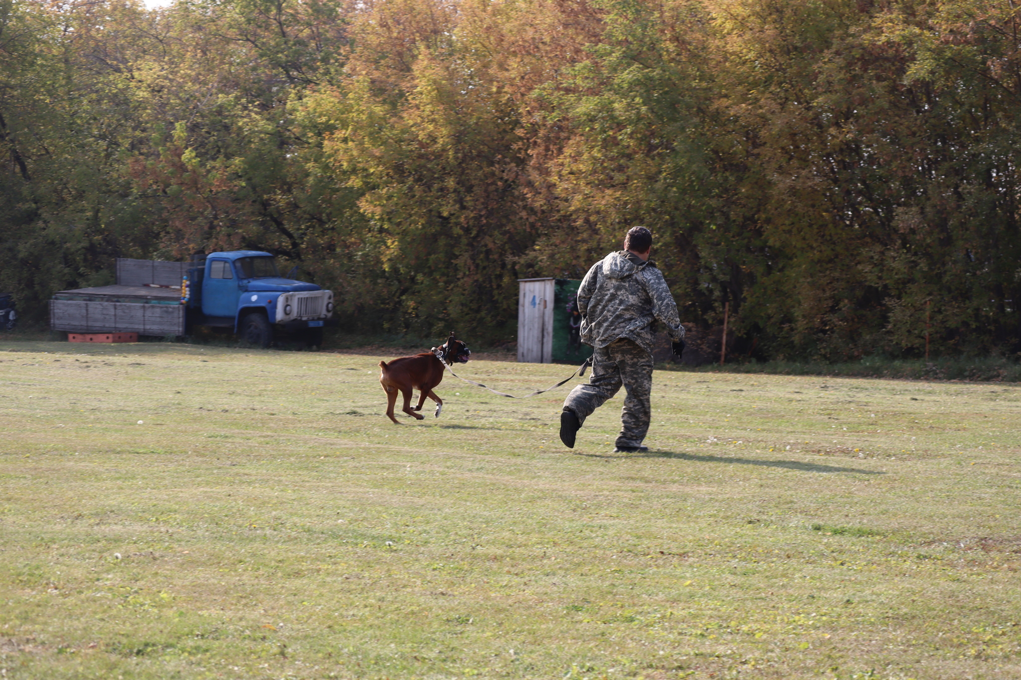 Dog training in Omsk - OCSSSS 28 - 09 - 2024 - Dog, Dog lovers, Puppies, Omsk, Training, Г“Г±Г±Г±, Care, Friend, Longpost