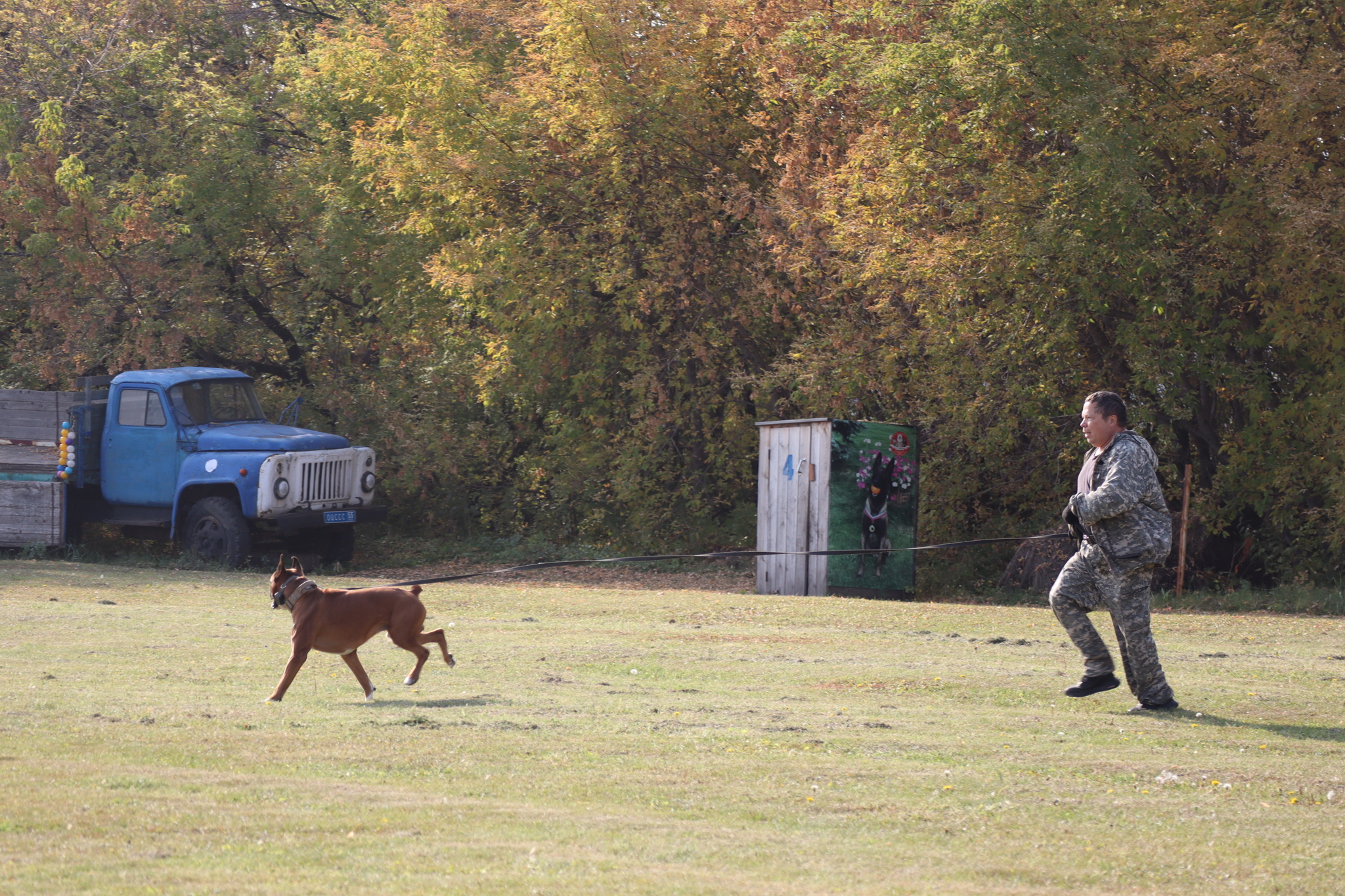 Dog training in Omsk - OCSSSS 28 - 09 - 2024 - Dog, Dog lovers, Puppies, Omsk, Training, Г“Г±Г±Г±, Care, Friend, Longpost