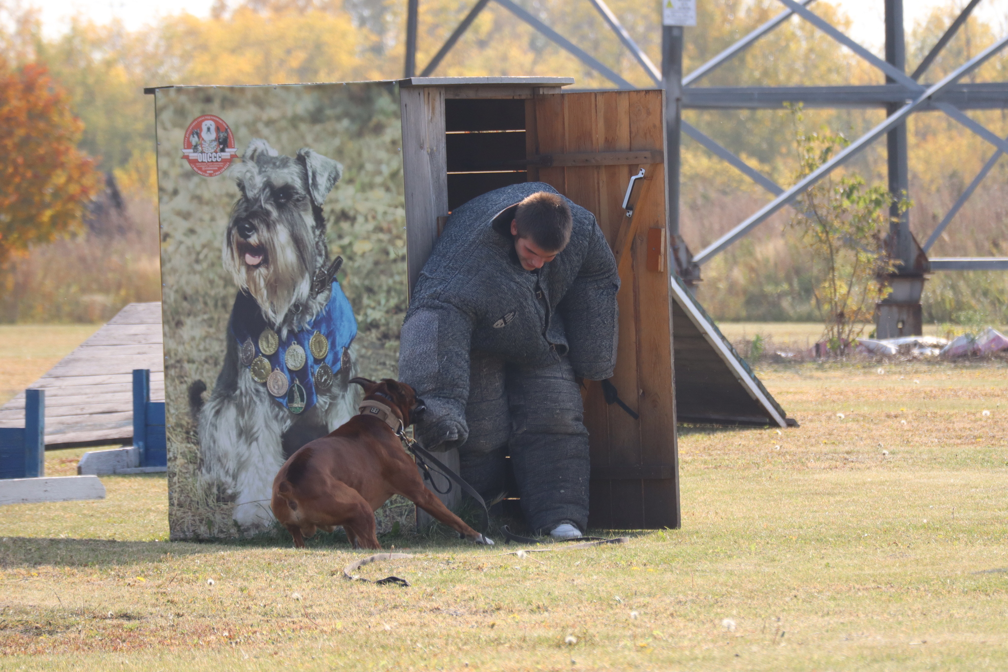 Dog training in Omsk - OCSSSS 28 - 09 - 2024 - Dog, Dog lovers, Puppies, Omsk, Training, Г“Г±Г±Г±, Care, Friend, Longpost