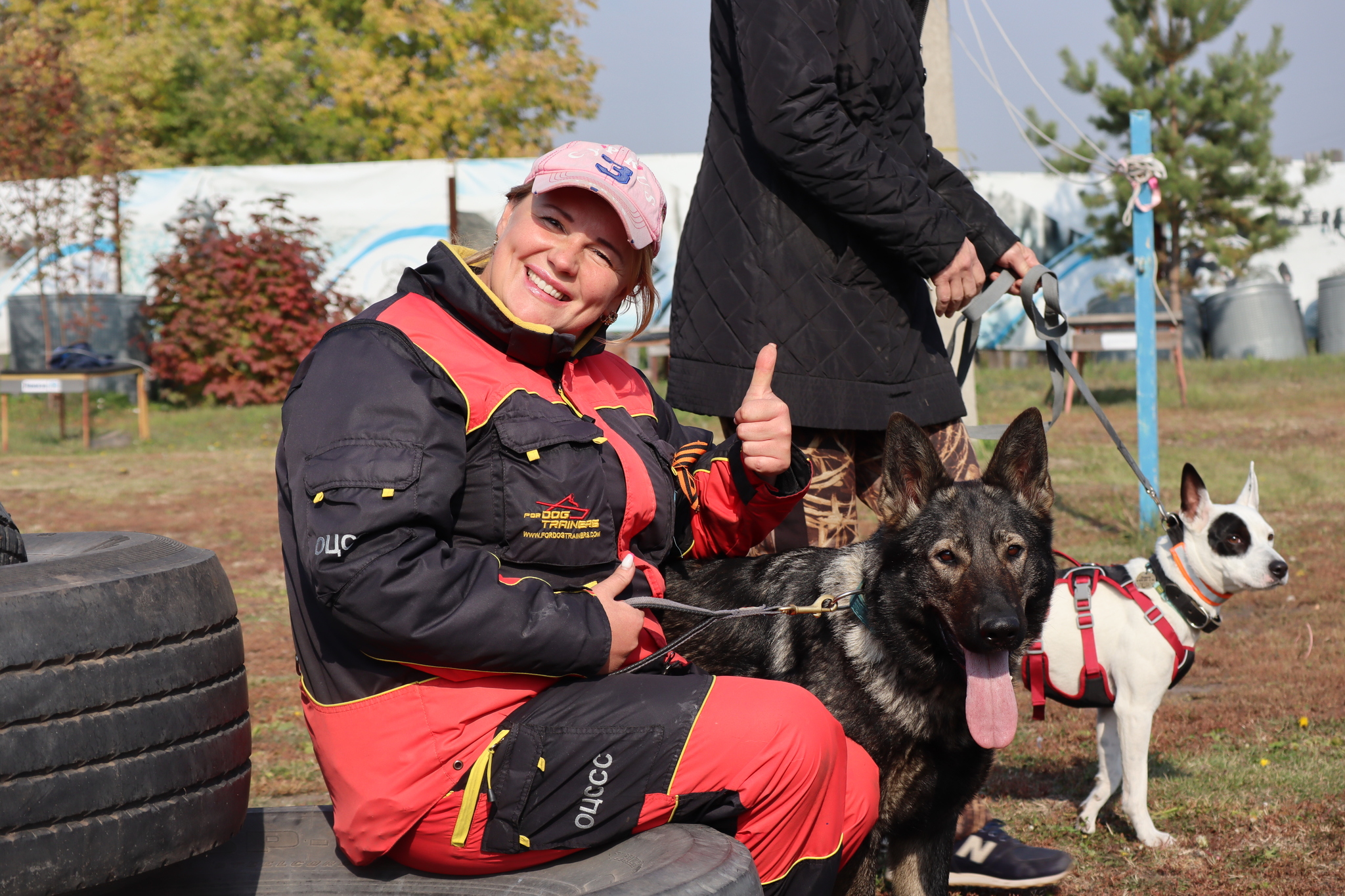 Dog training in Omsk - OCSSSS 28 - 09 - 2024 - Dog, Dog lovers, Puppies, Omsk, Training, Г“Г±Г±Г±, Care, Friend, Longpost