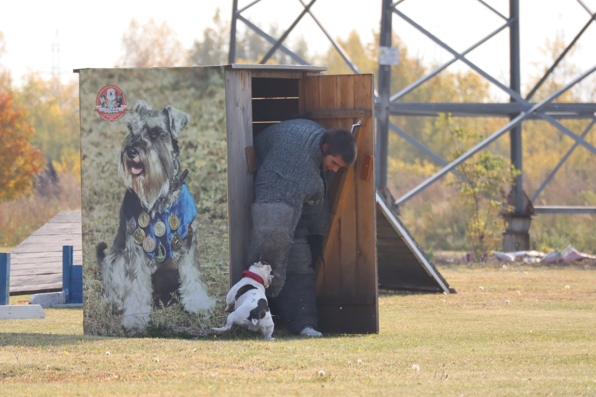 Dog training in Omsk - OCSSSS 28 - 09 - 2024 - Dog, Dog lovers, Puppies, Omsk, Training, Г“Г±Г±Г±, Care, Friend, Longpost