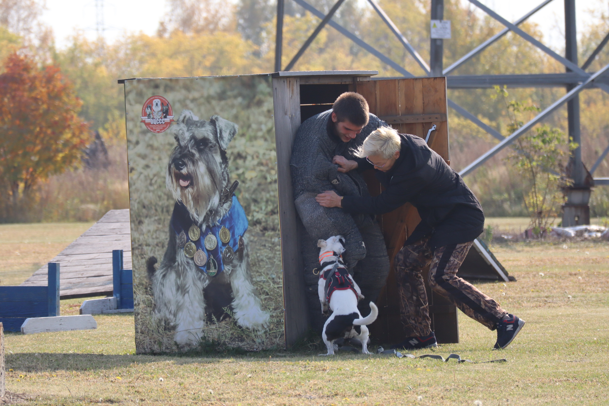 Dog training in Omsk - OCSSSS 28 - 09 - 2024 - Dog, Dog lovers, Puppies, Omsk, Training, Г“Г±Г±Г±, Care, Friend, Longpost