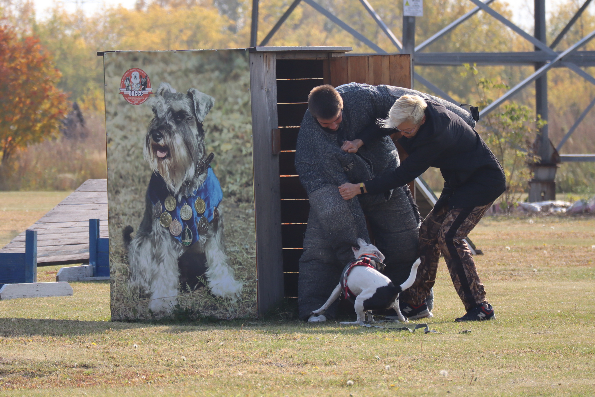 Dog training in Omsk - OCSSSS 28 - 09 - 2024 - Dog, Dog lovers, Puppies, Omsk, Training, Г“Г±Г±Г±, Care, Friend, Longpost