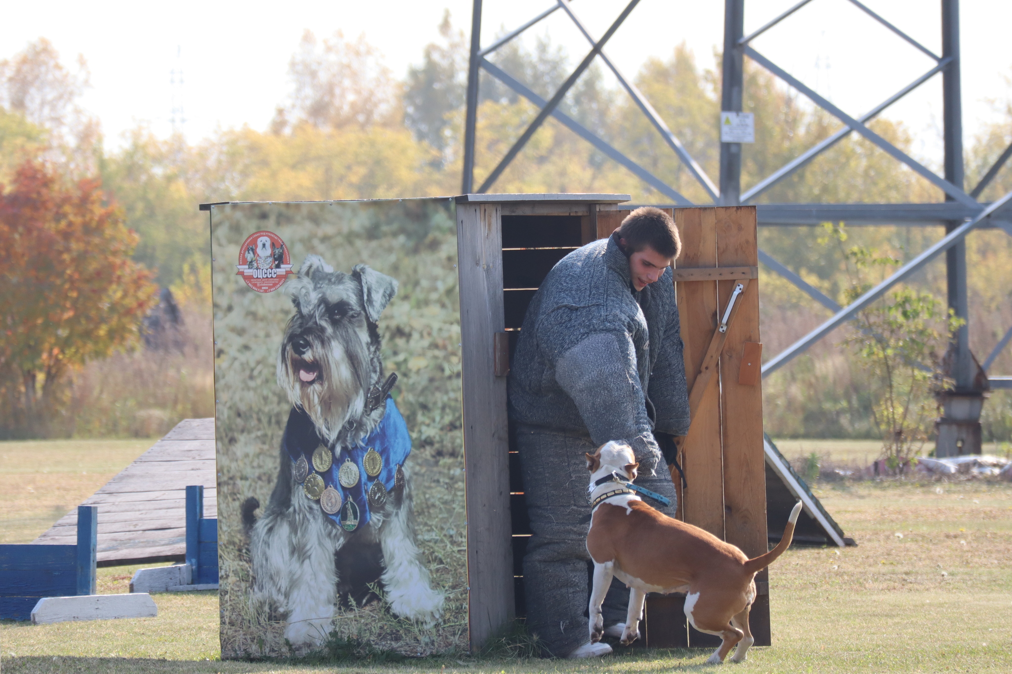 Dog training in Omsk - OCSSSS 28 - 09 - 2024 - Dog, Dog lovers, Puppies, Omsk, Training, Г“Г±Г±Г±, Care, Friend, Longpost